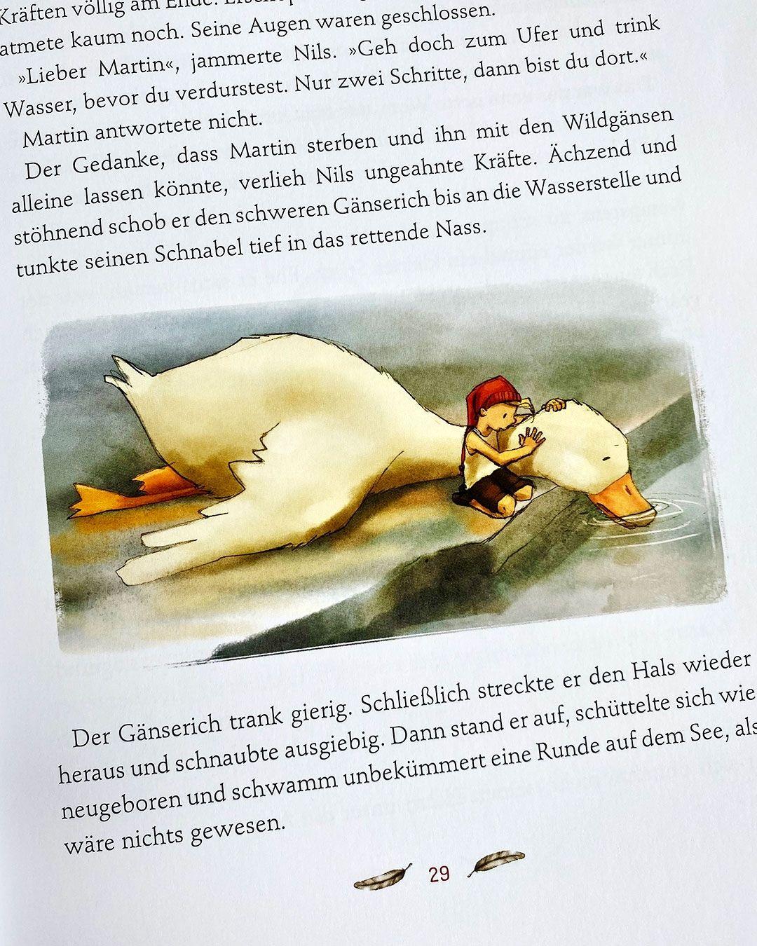Beispielinhalt (Bild) Klassiker zum Vorlesen. Nils Holgersson