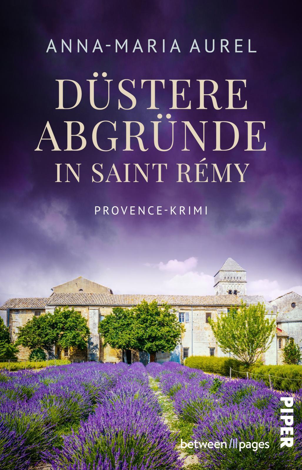 Vorderes Coverbild Düstere Abgründe in Saint Rémy