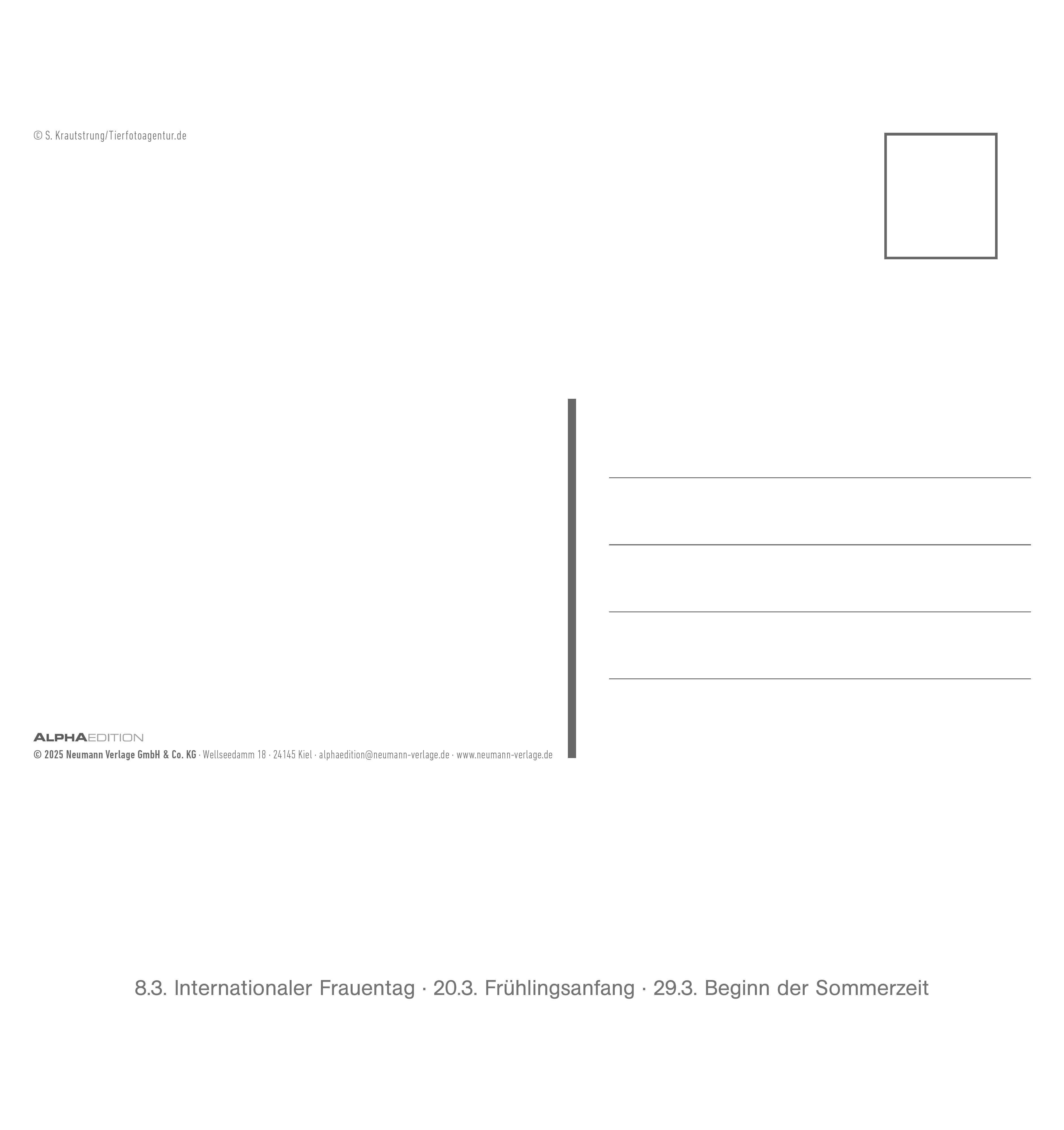 Beispielinhalt (Bild) Freche Erdmännchen 2026 - Postkartenkalender 16x17 cm