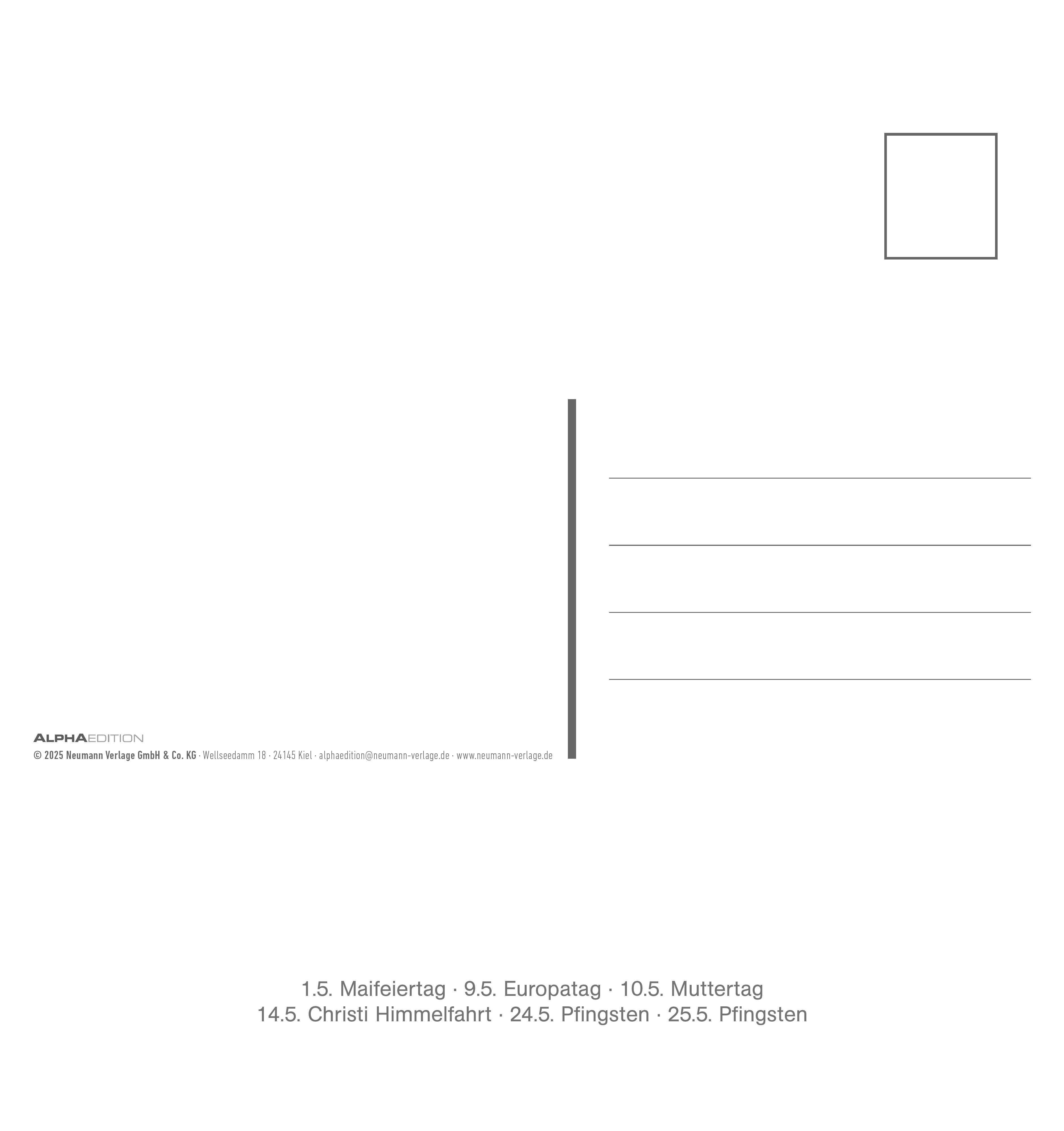 Beispielinhalt (Bild) Freche Erdmännchen 2026 - Postkartenkalender 16x17 cm