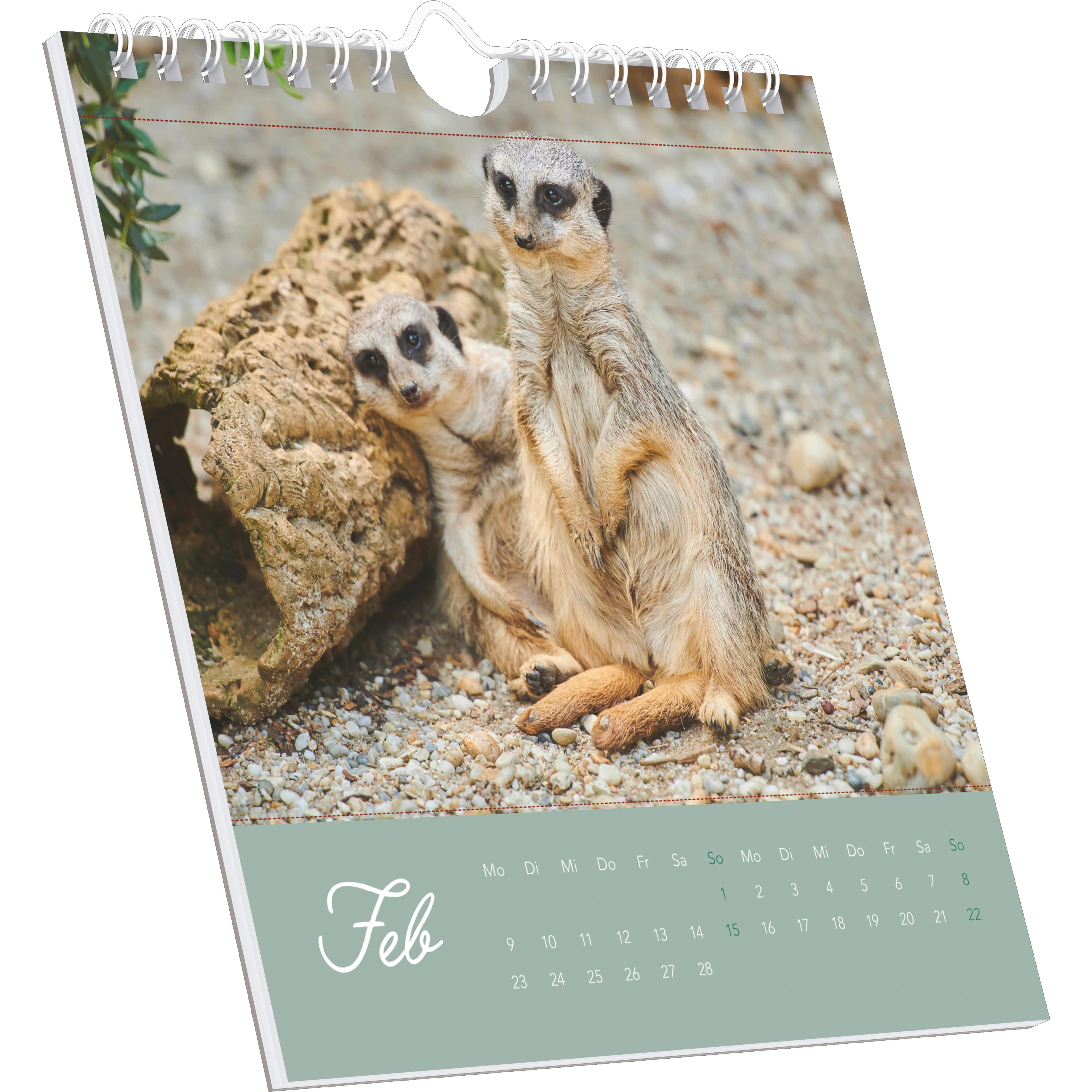 Beispielinhalt (Bild) Freche Erdmännchen 2026 - Postkartenkalender 16x17 cm