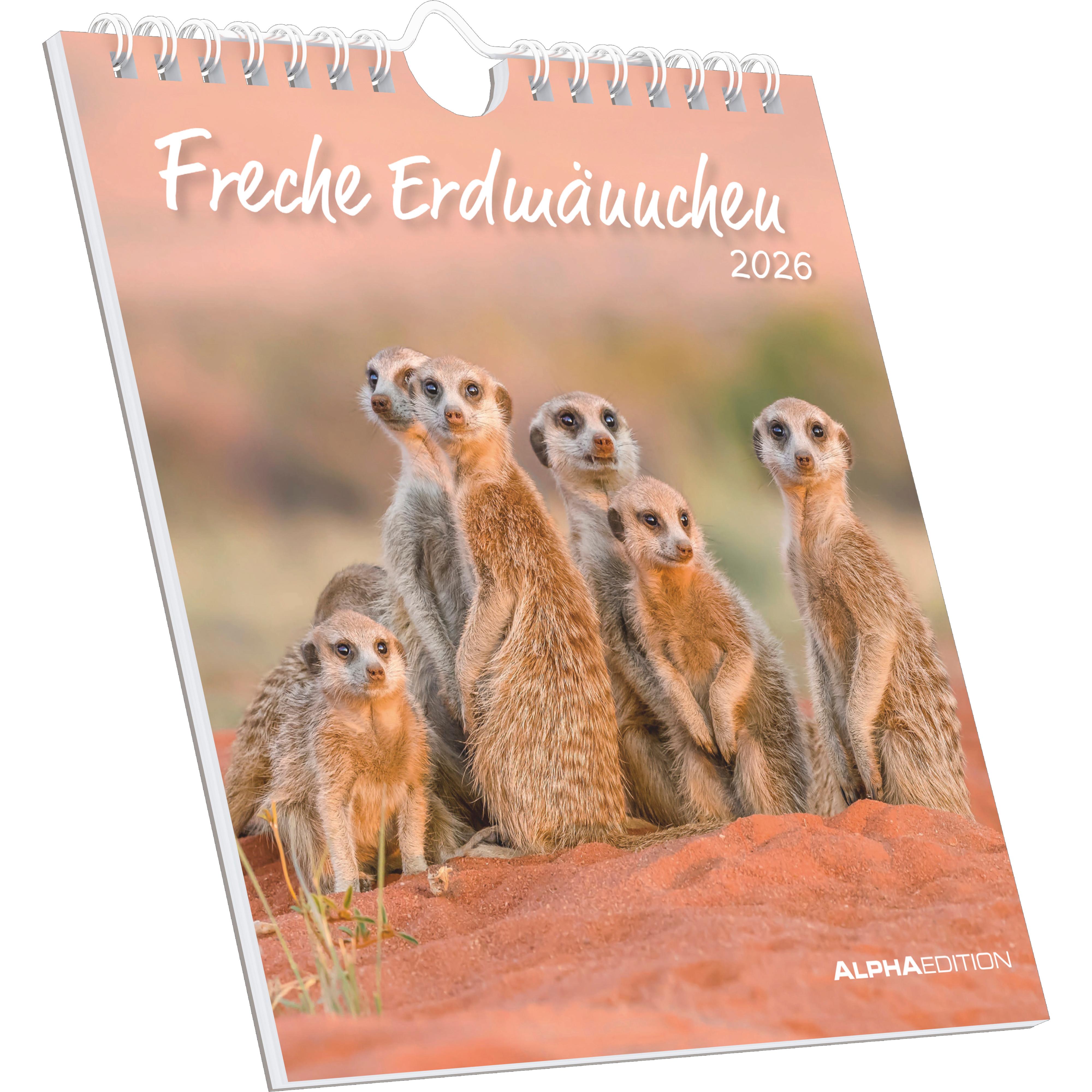 Vorderes Coverbild Freche Erdmännchen 2026 - Postkartenkalender 16x17 cm