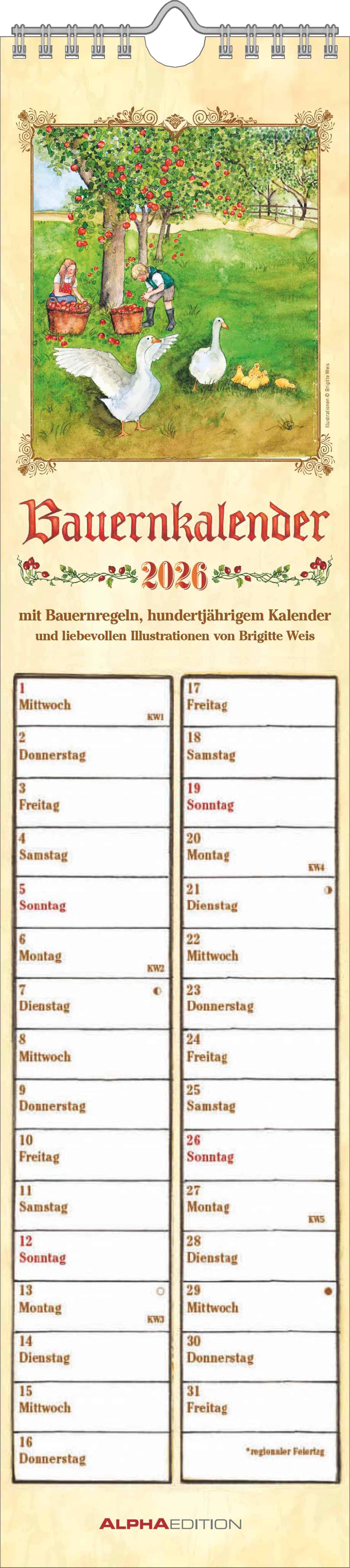 Vorderes Coverbild Streifenplaner Bauernkalender 2026 - Streifen-Kalender 11,3x49x5 cm - mit 100-jährigem Kalender und Bauernregeln - Wandplaner - Alpha Edition