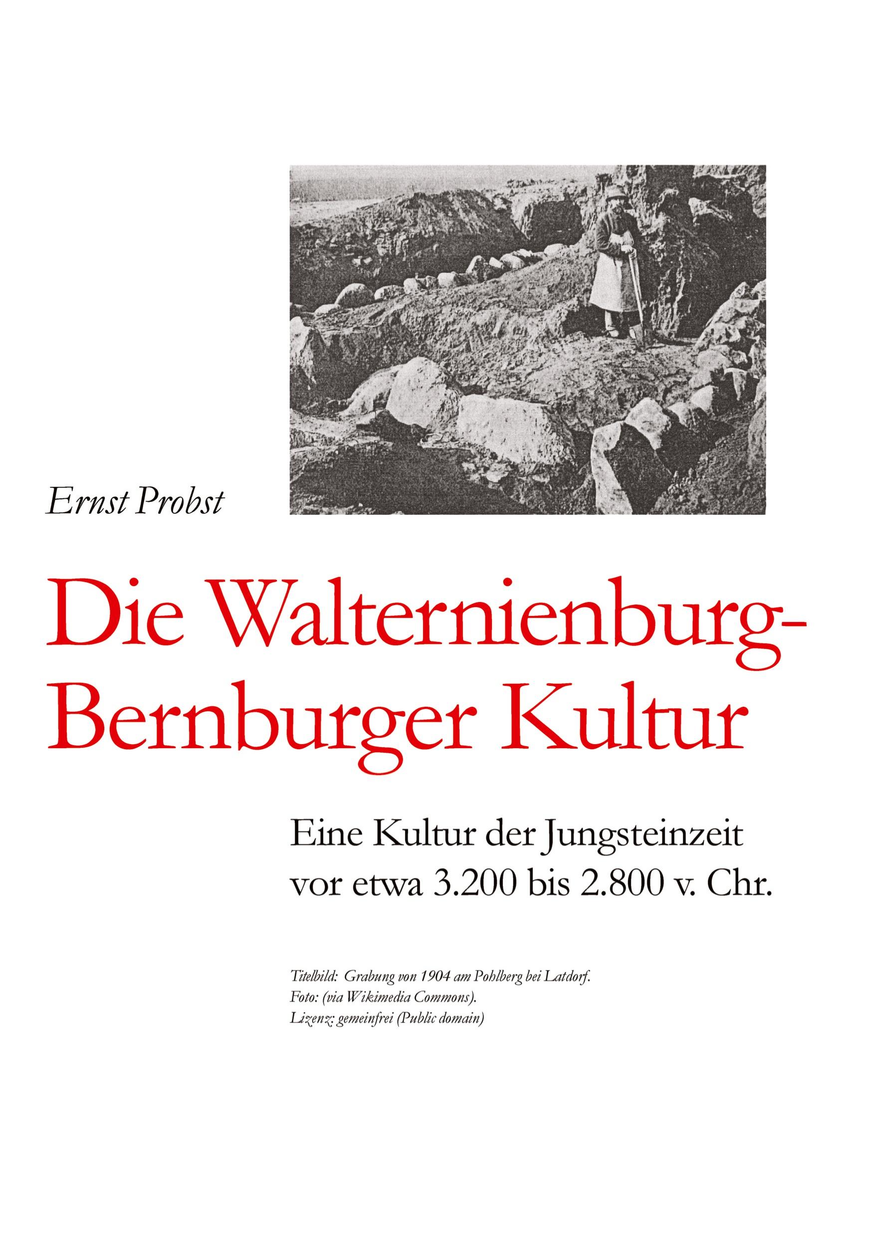 Vorderes Coverbild Die Walternienburg-Bernburger Kultur