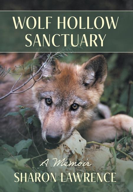 Vorderes Coverbild Wolf Hollow Sanctuary