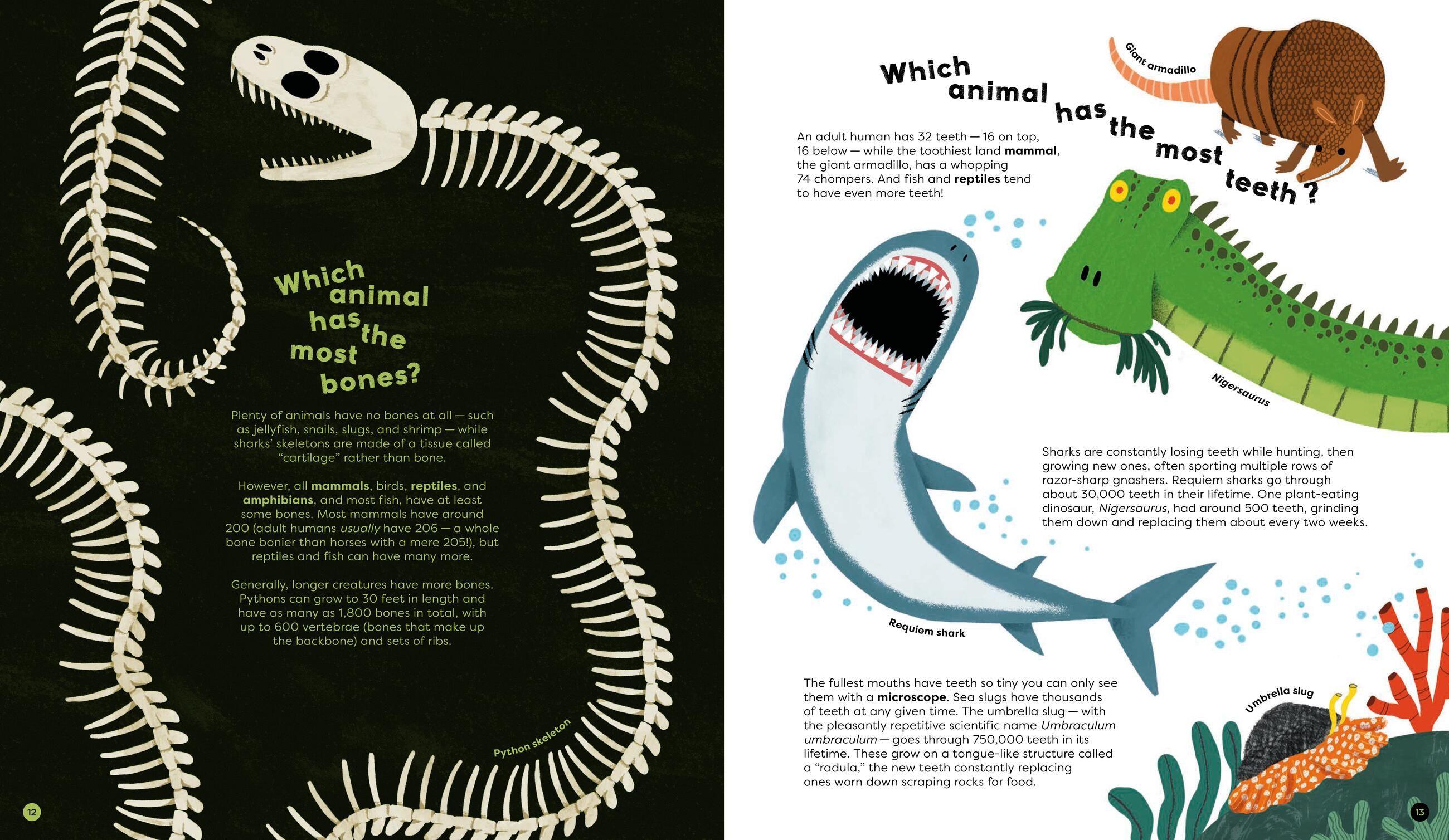 Beispielinhalt (Bild) There Are No Silly Questions