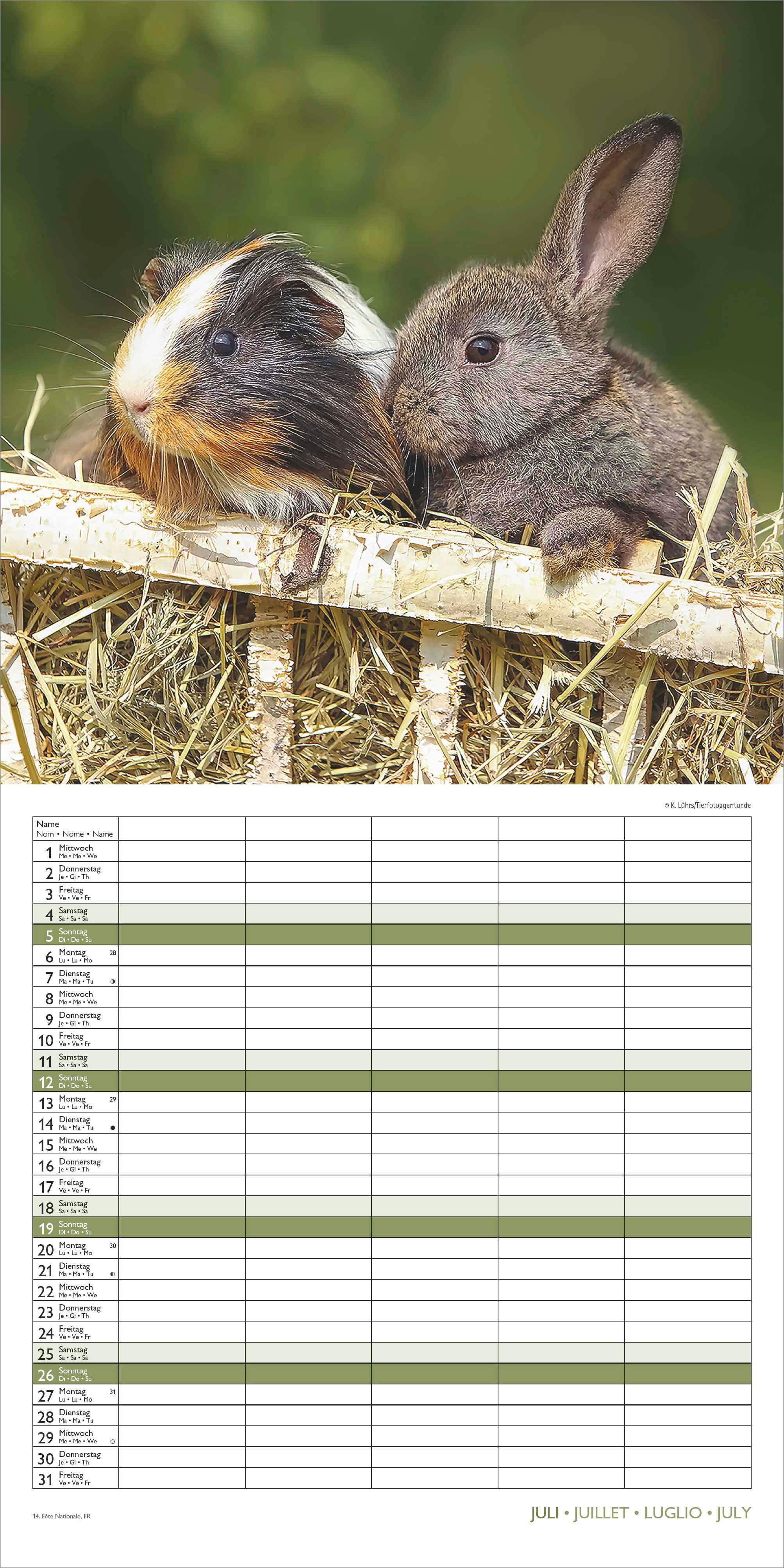 Beispielinhalt (Bild) Familienplaner Beste Freunde 2026 - Broschürenkalender im Format 30 x 30