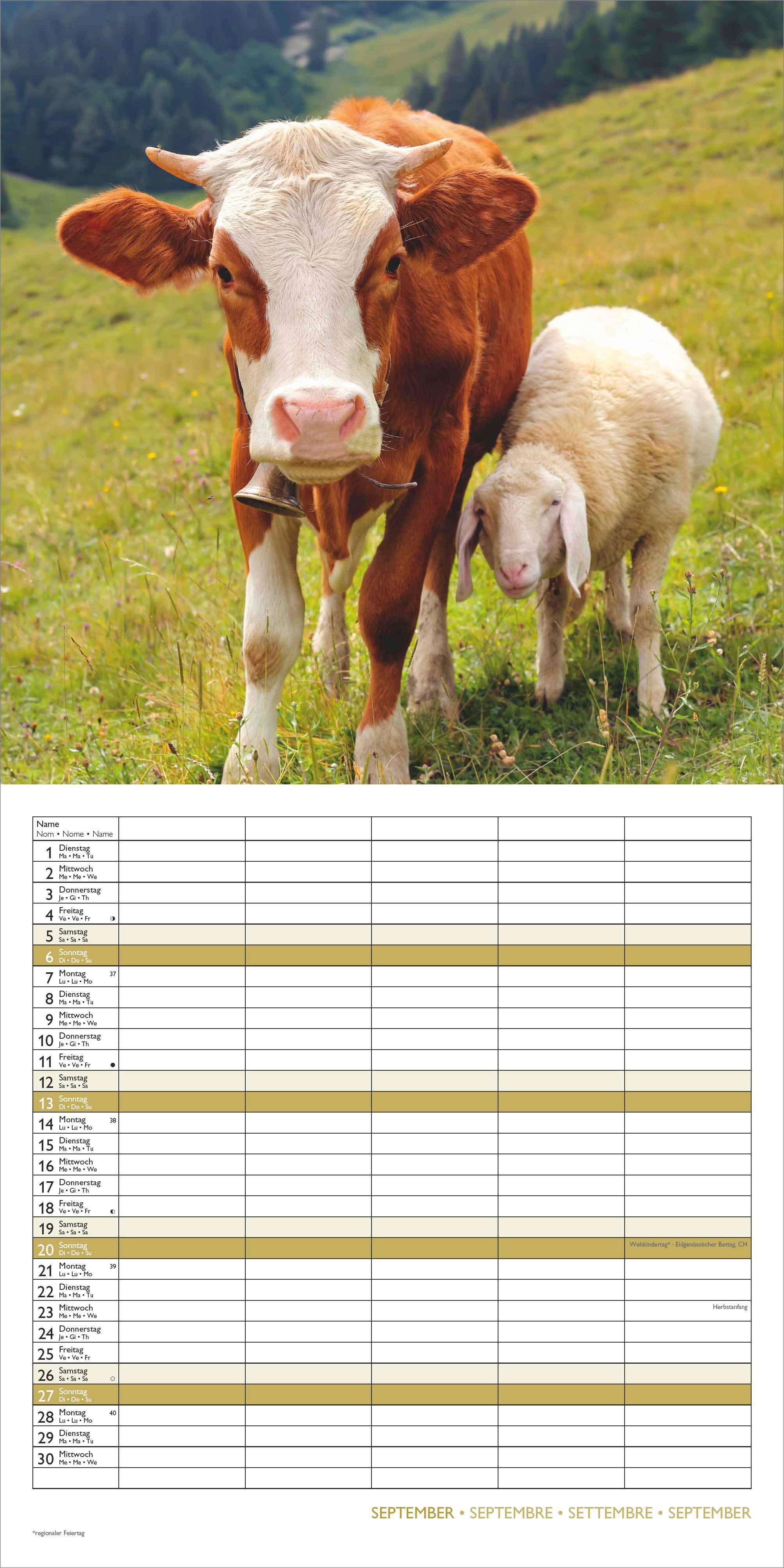 Beispielinhalt (Bild) Familienplaner Beste Freunde 2026 - Broschürenkalender im Format 30 x 30