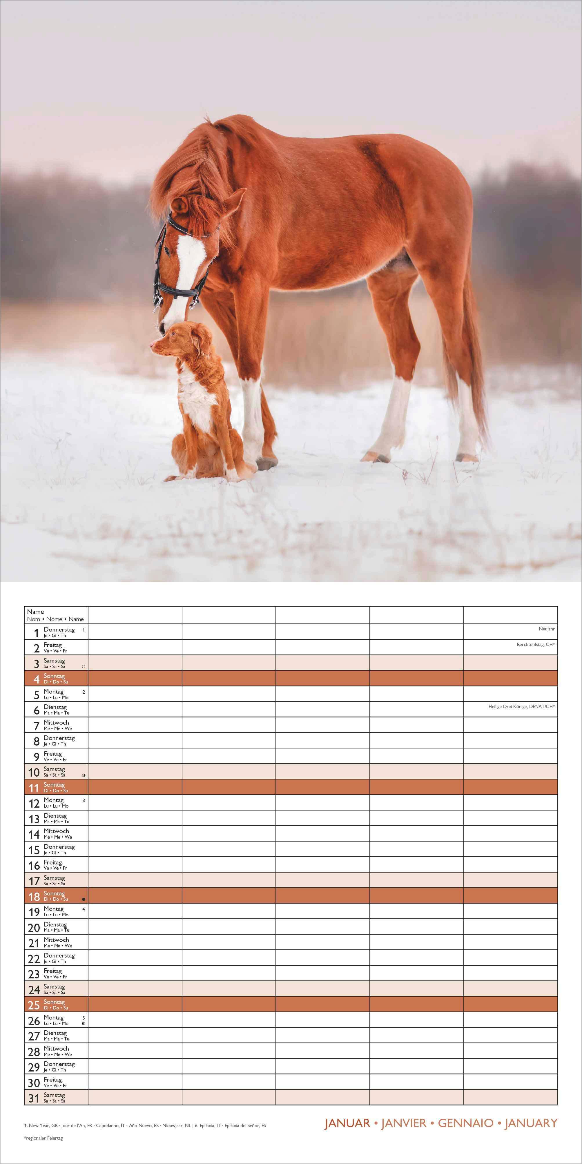 Beispielinhalt (Bild) Familienplaner Beste Freunde 2026 - Broschürenkalender im Format 30 x 30