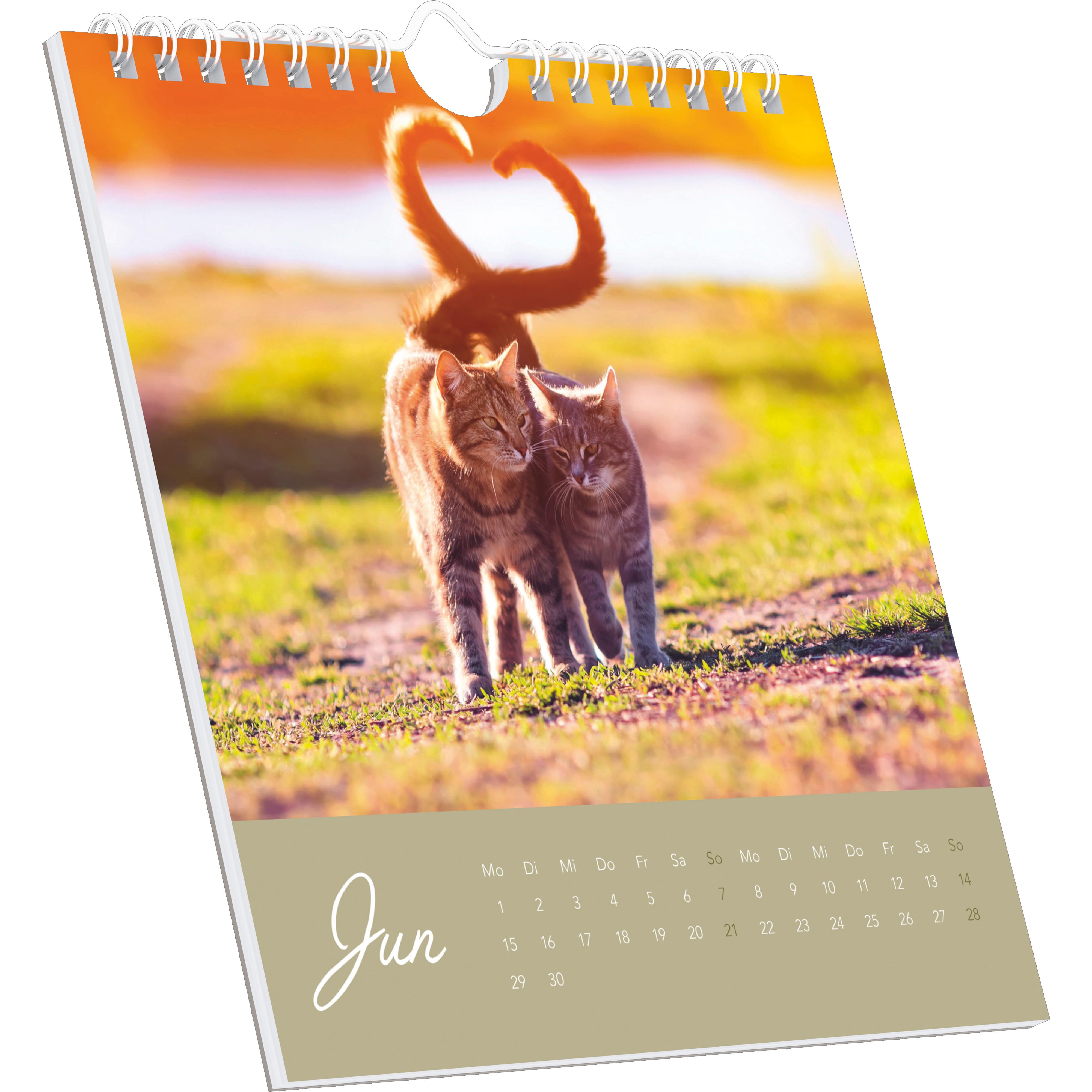 Beispielinhalt (Bild) Beste Freunde 2026 - Postkartenkalender 16x17 cm