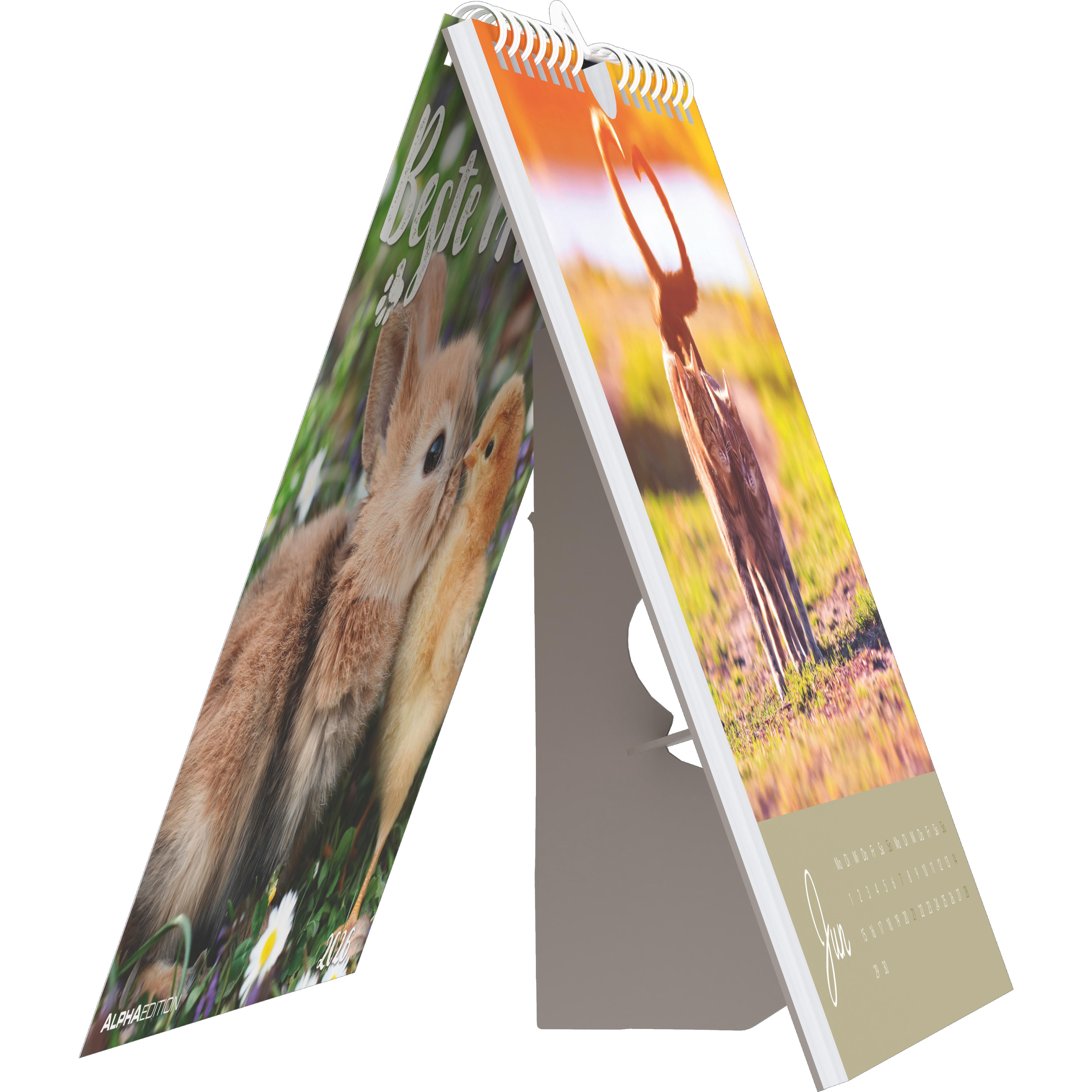 Beispielinhalt (Bild) Beste Freunde 2026 - Postkartenkalender 16x17 cm
