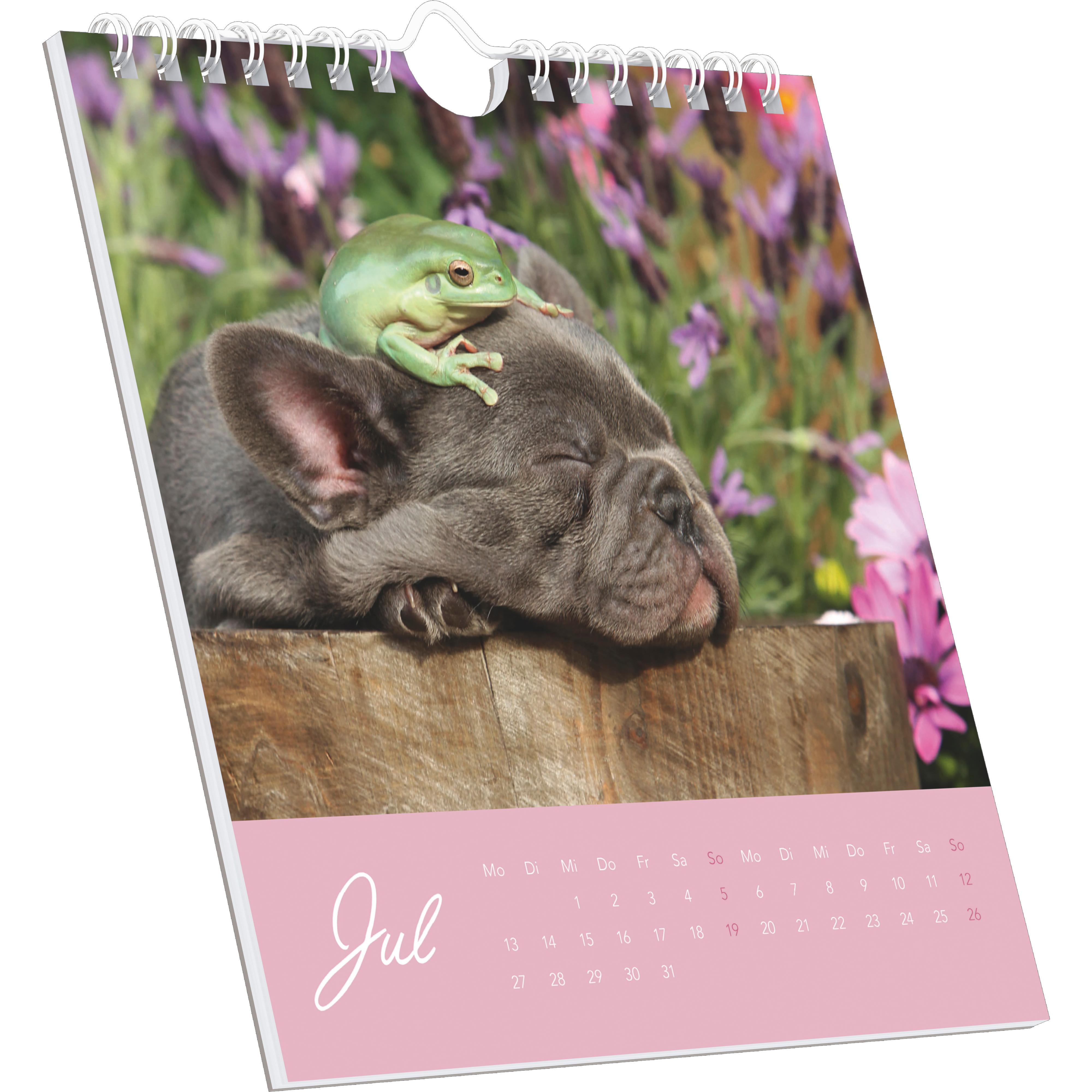 Beispielinhalt (Bild) Beste Freunde 2026 - Postkartenkalender 16x17 cm