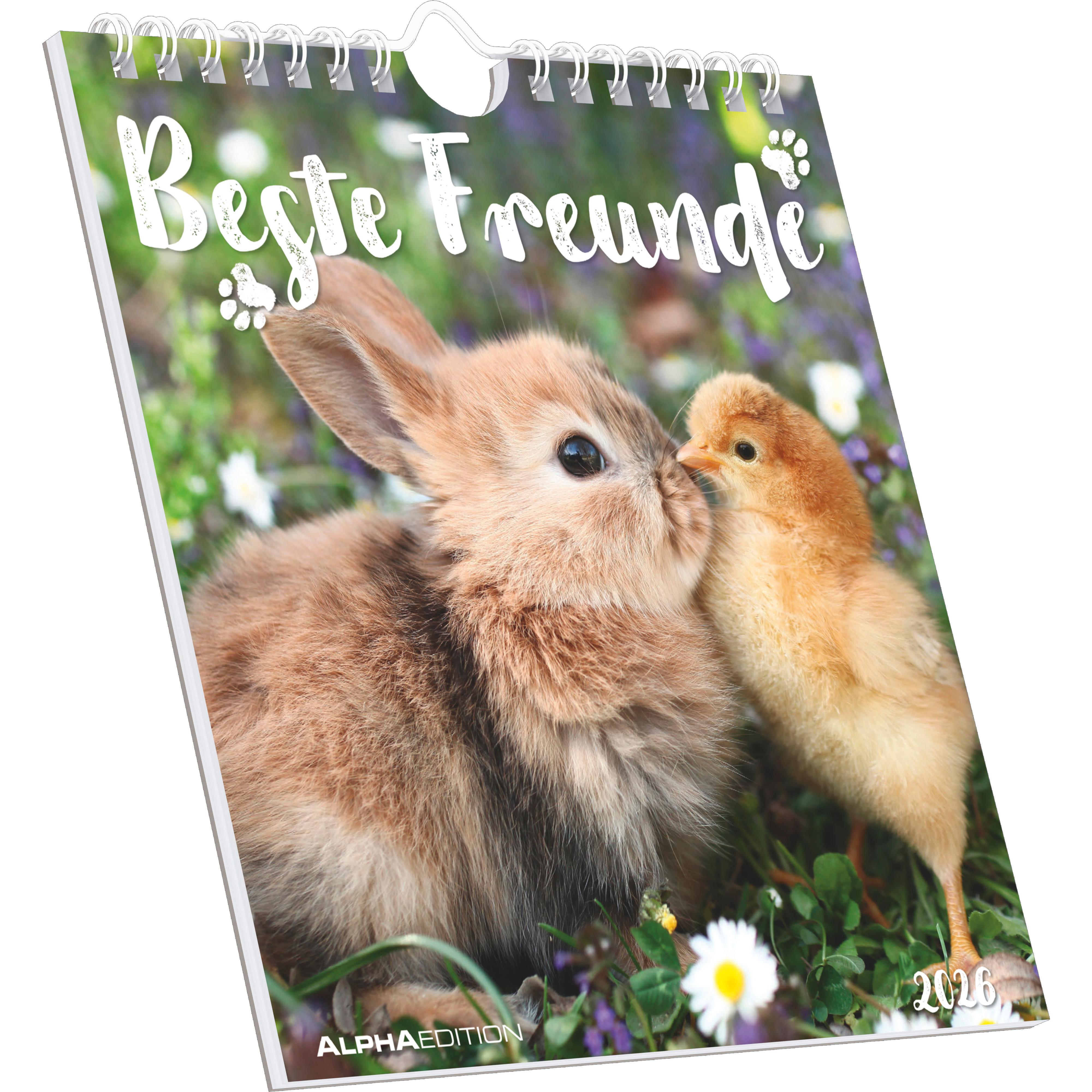 Vorderes Coverbild Beste Freunde 2026 - Postkartenkalender 16x17 cm
