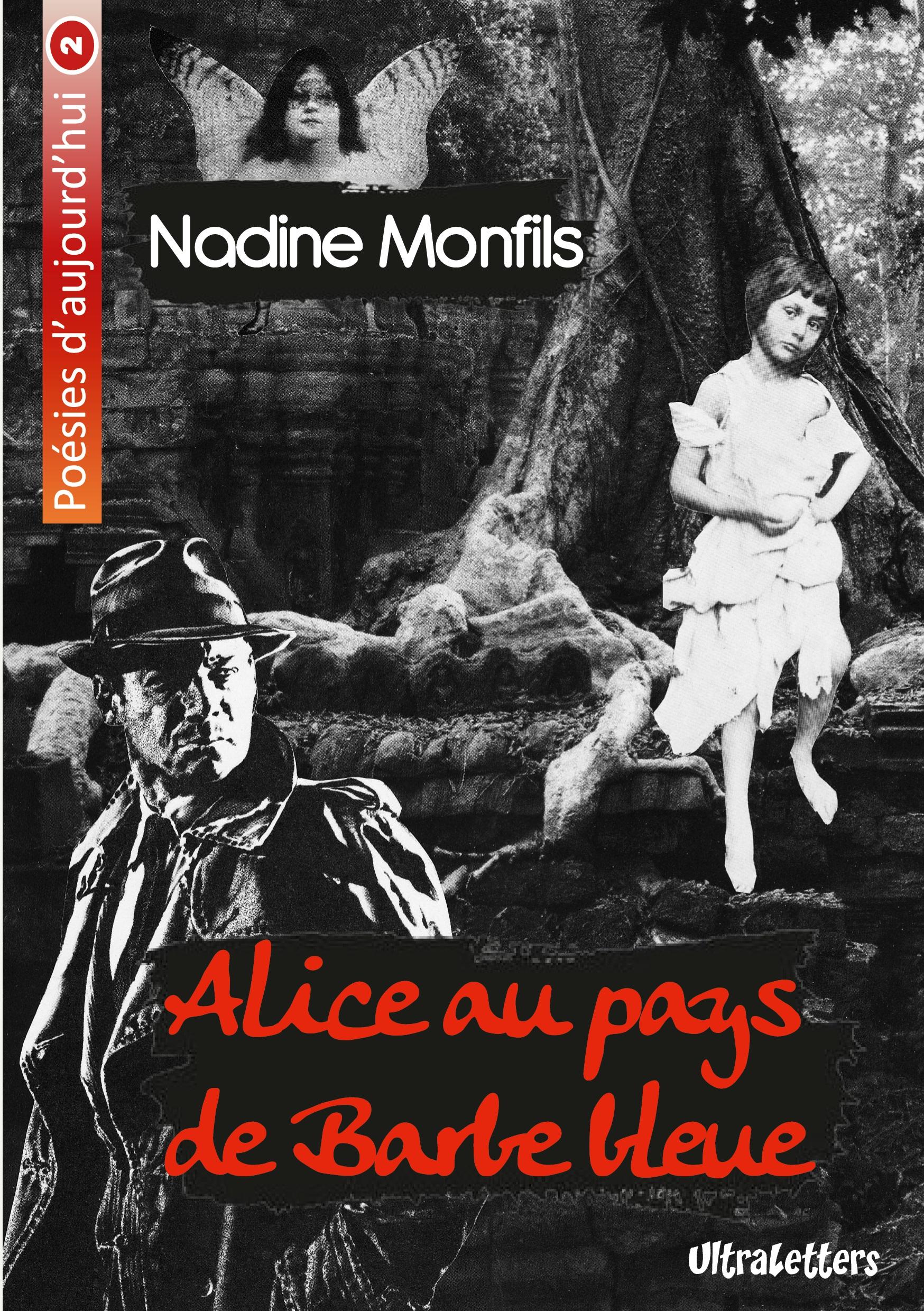 Vorderes Coverbild Alice au pays de Barbe bleue