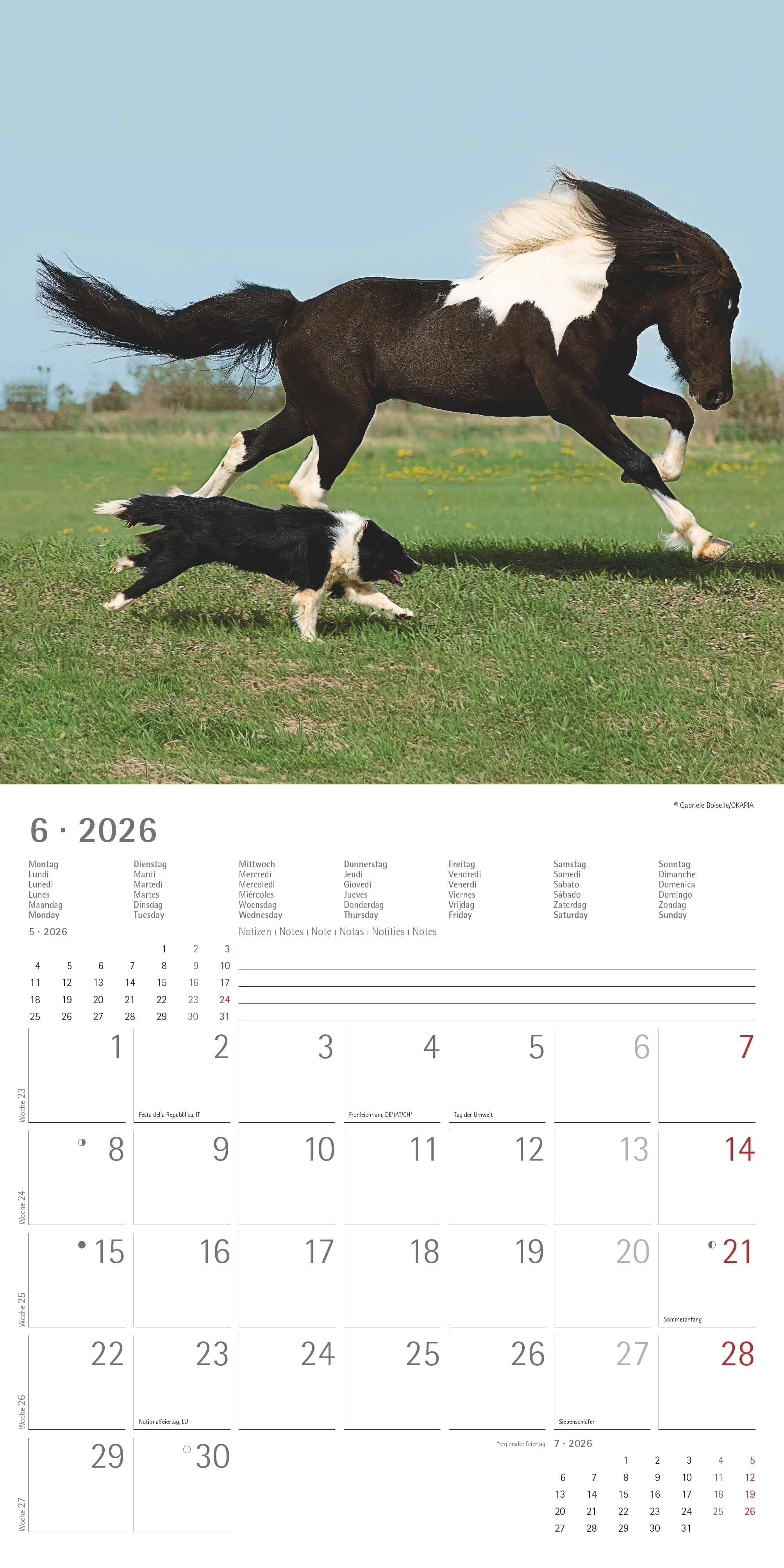 Beispielinhalt (Bild) Tierfreundschaften 2026 - Broschürenkalender 30x30 cm (30x60 geöffnet) - Kalender mit Platz für Notizen - Animal Friendships - Bildkalender - Planer