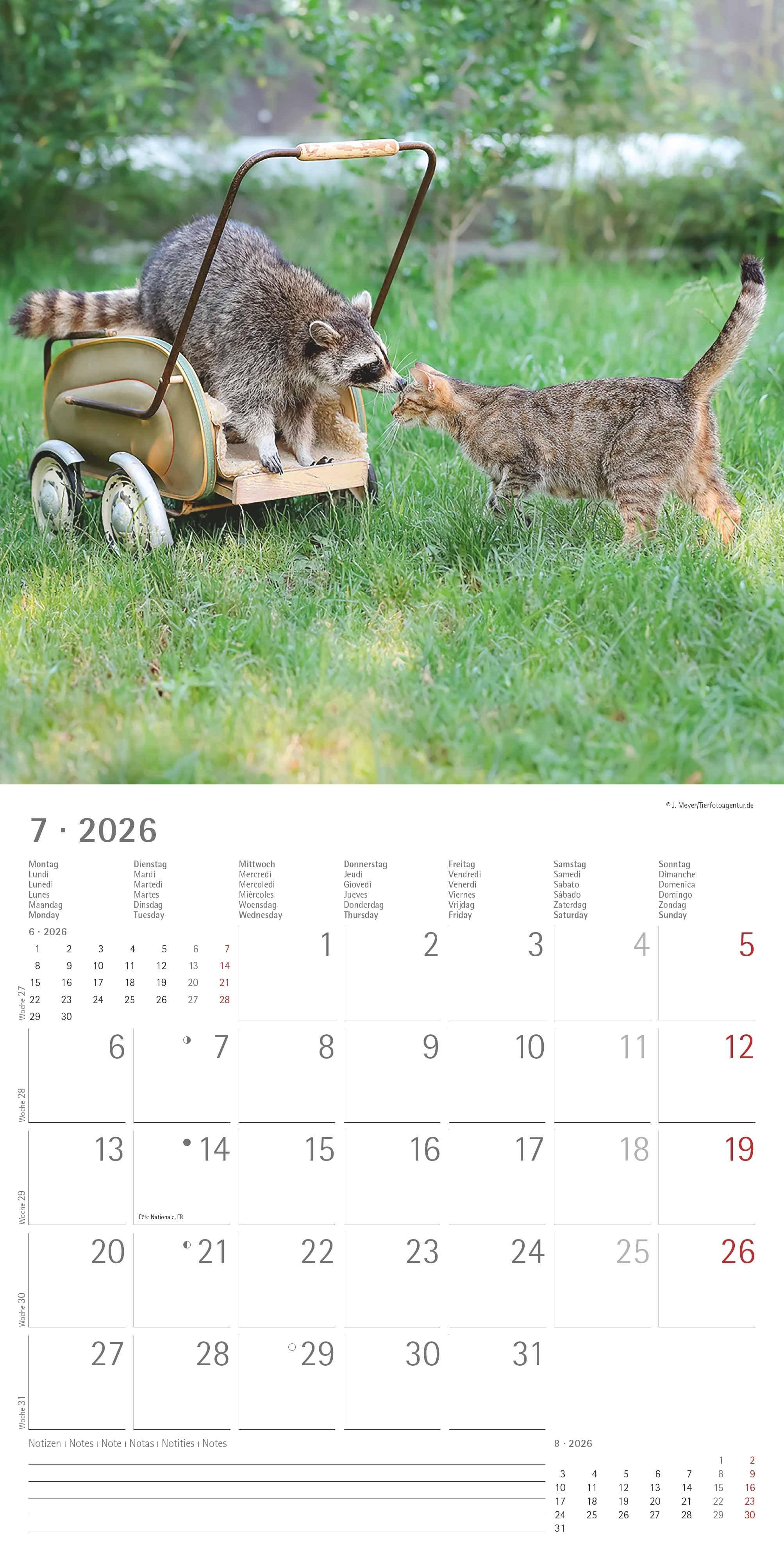 Beispielinhalt (Bild) Tierfreundschaften 2026 - Broschürenkalender 30x30 cm (30x60 geöffnet) - Kalender mit Platz für Notizen - Animal Friendships - Bildkalender - Planer