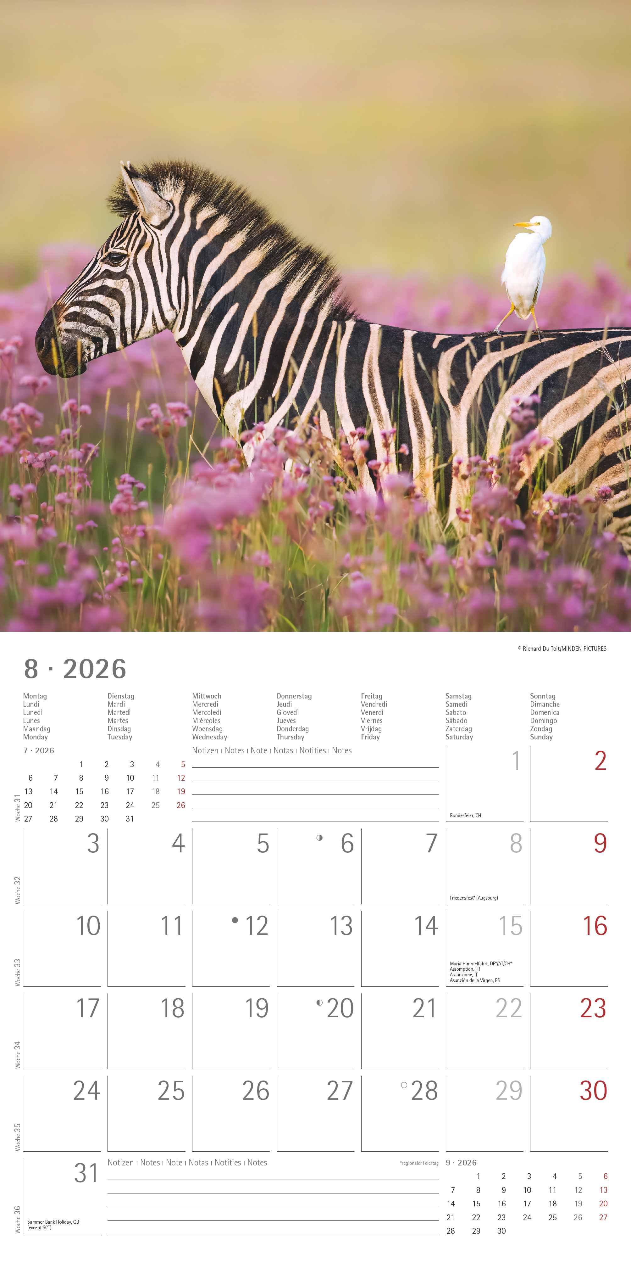 Beispielinhalt (Bild) Tierfreundschaften 2026 - Broschürenkalender 30x30 cm (30x60 geöffnet) - Kalender mit Platz für Notizen - Animal Friendships - Bildkalender - Planer