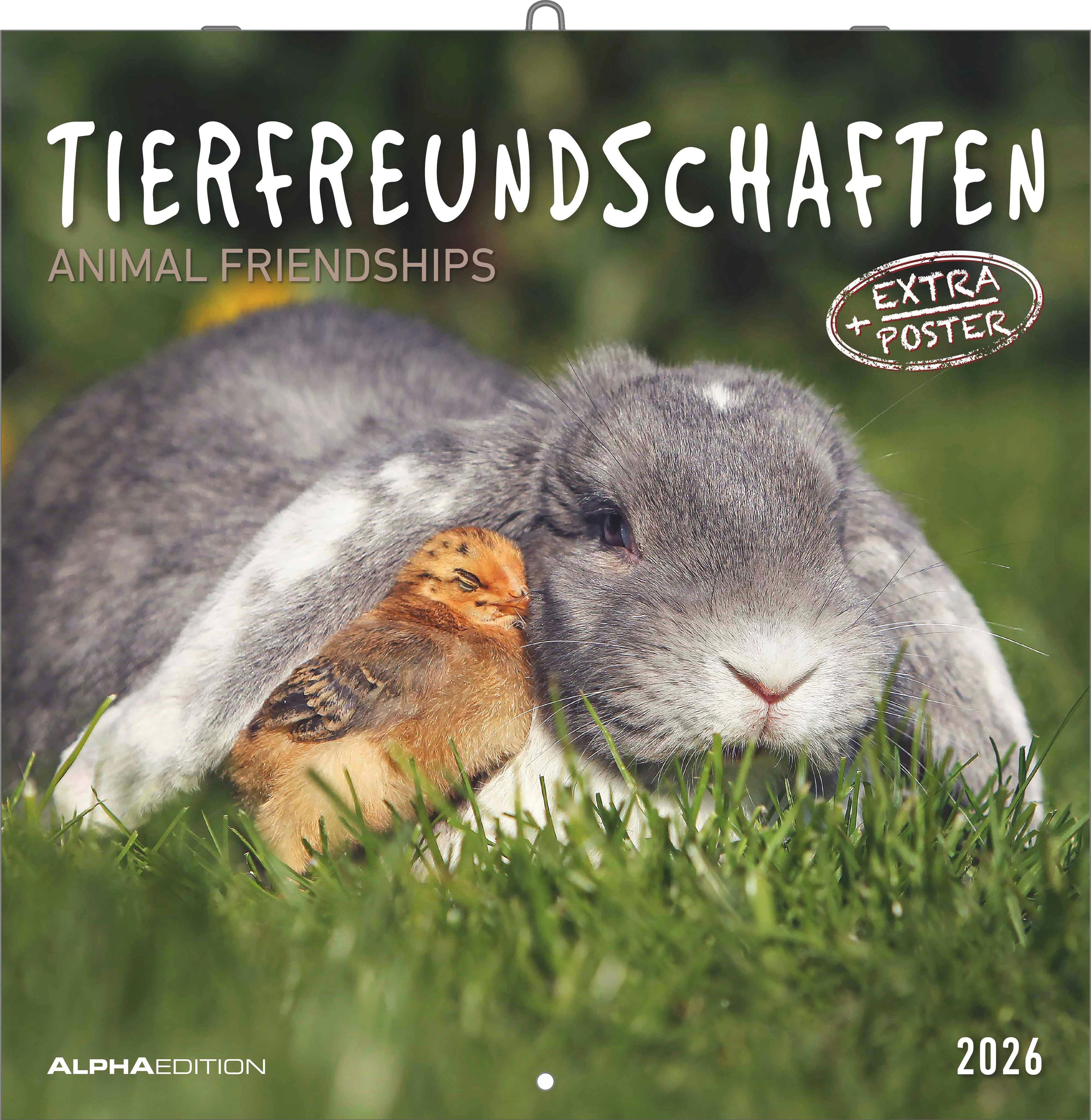 Vorderes Coverbild Tierfreundschaften 2026 - Broschürenkalender 30x30 cm (30x60 geöffnet) - Kalender mit Platz für Notizen - Animal Friendships - Bildkalender - Planer