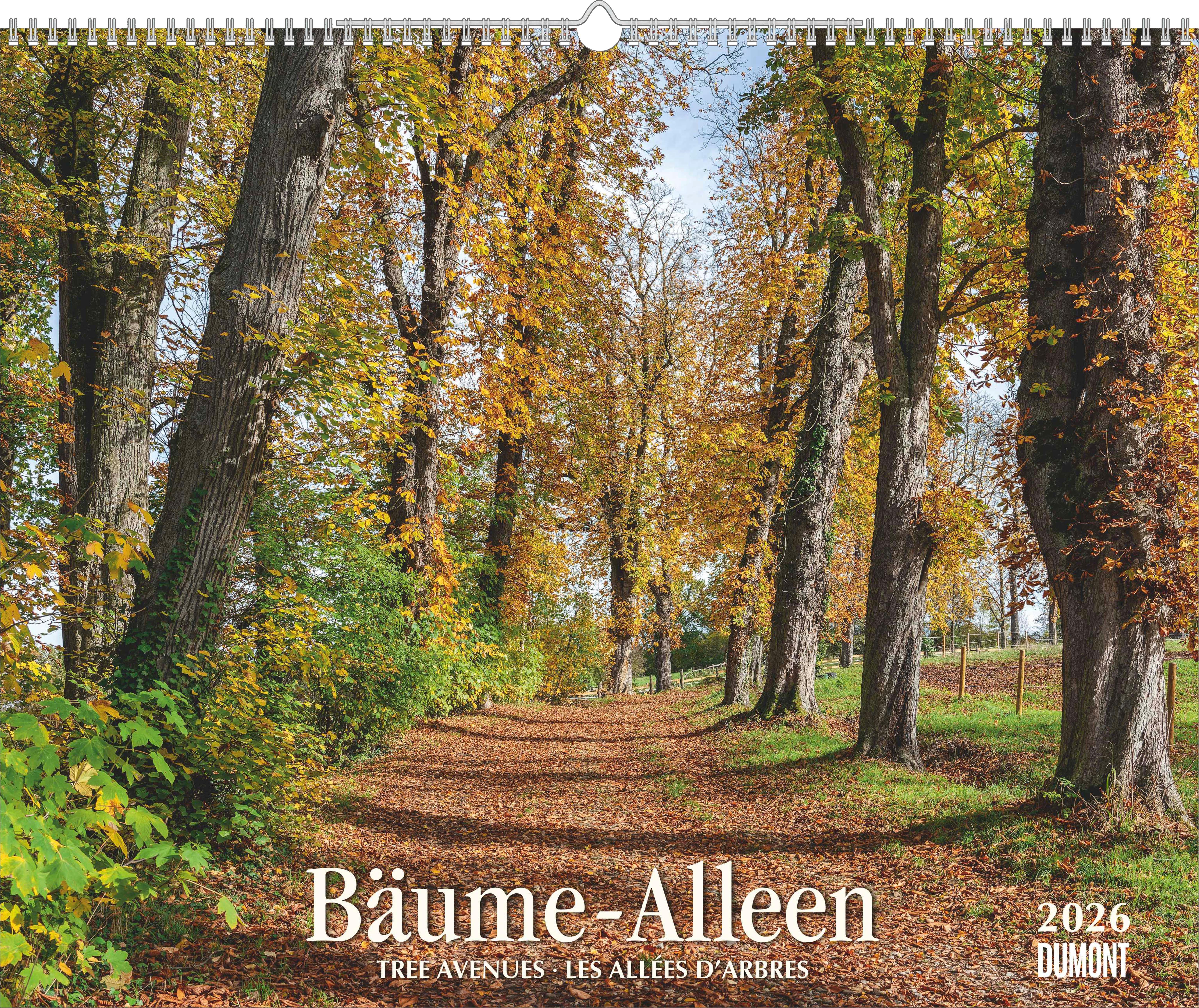 Vorderes Coverbild Bäume - Alleen 2026 - Wandkalender 52 x 42,5 cm - Spiralbindung