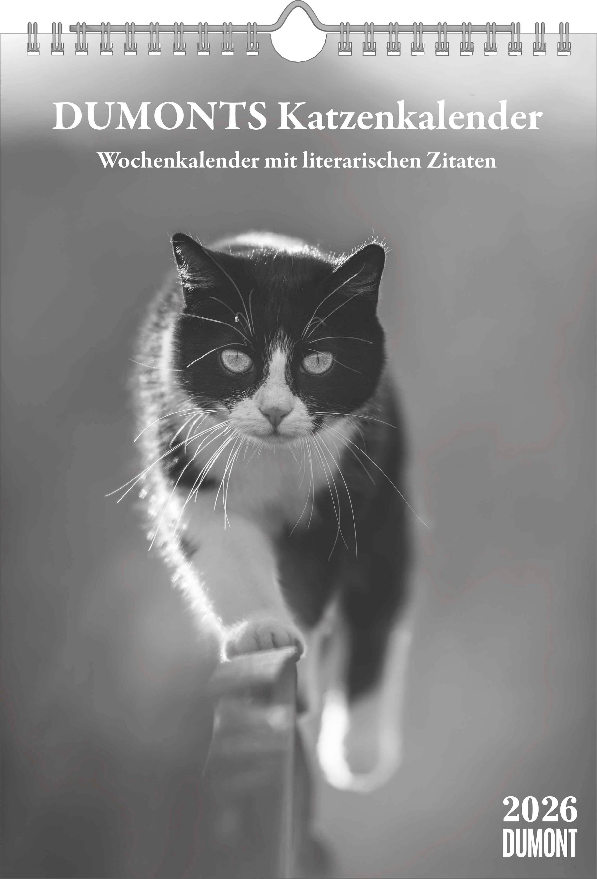Vorderes Coverbild DUMONTS Katzenkalender