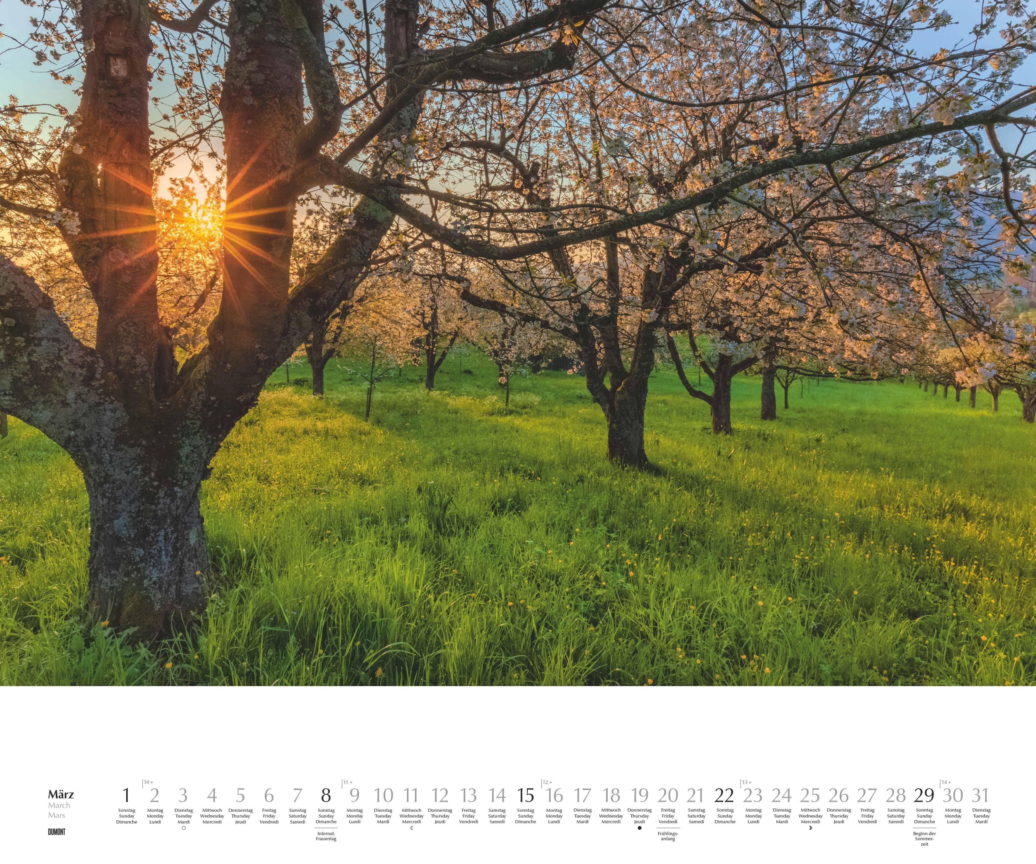 Beispielinhalt (Bild) Licht in der Landschaft 2026 - Wandkalender 60,0 x 50,0 cm - Spiralbindung