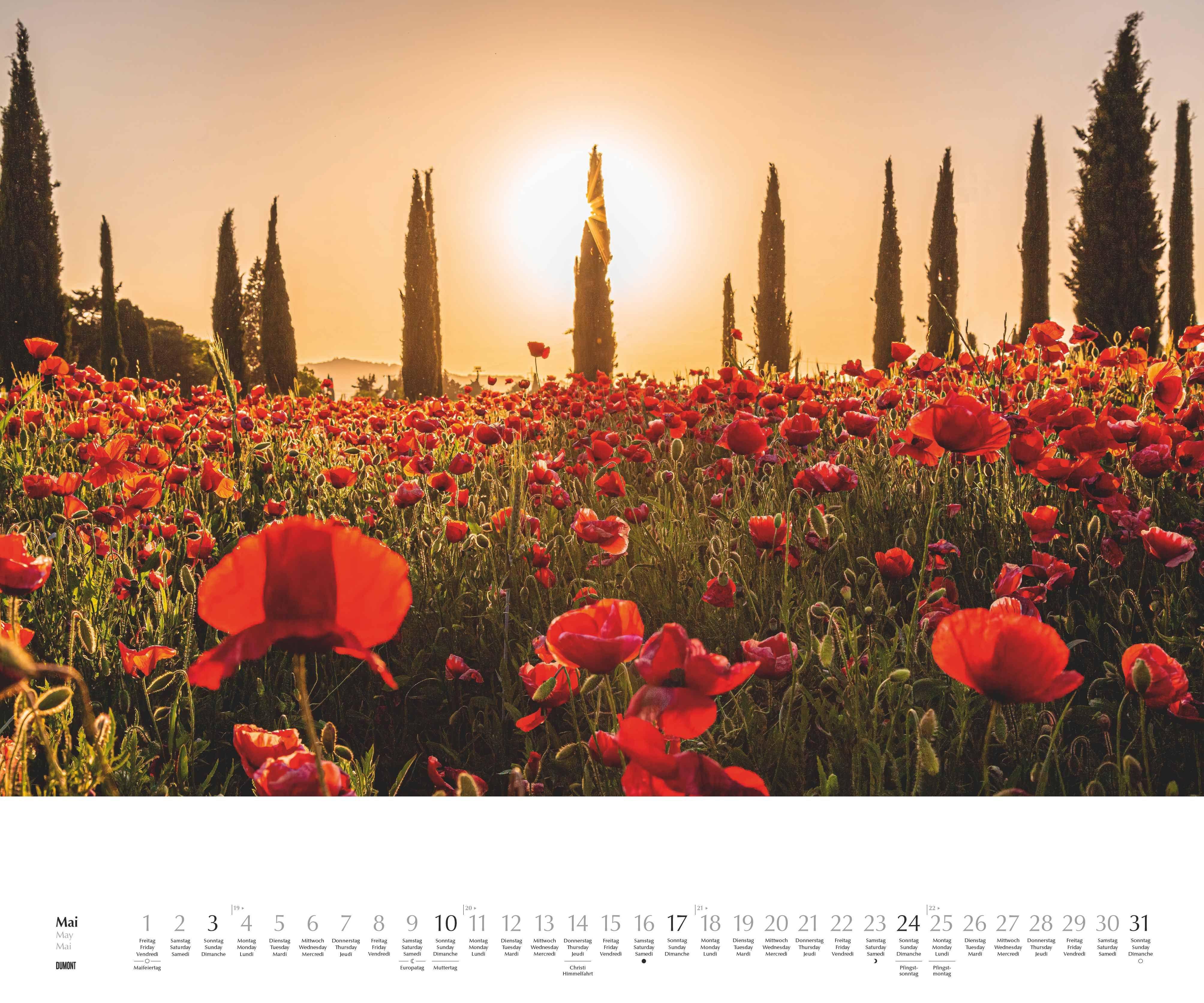 Beispielinhalt (Bild) Licht in der Landschaft 2026 - Wandkalender 60,0 x 50,0 cm - Spiralbindung