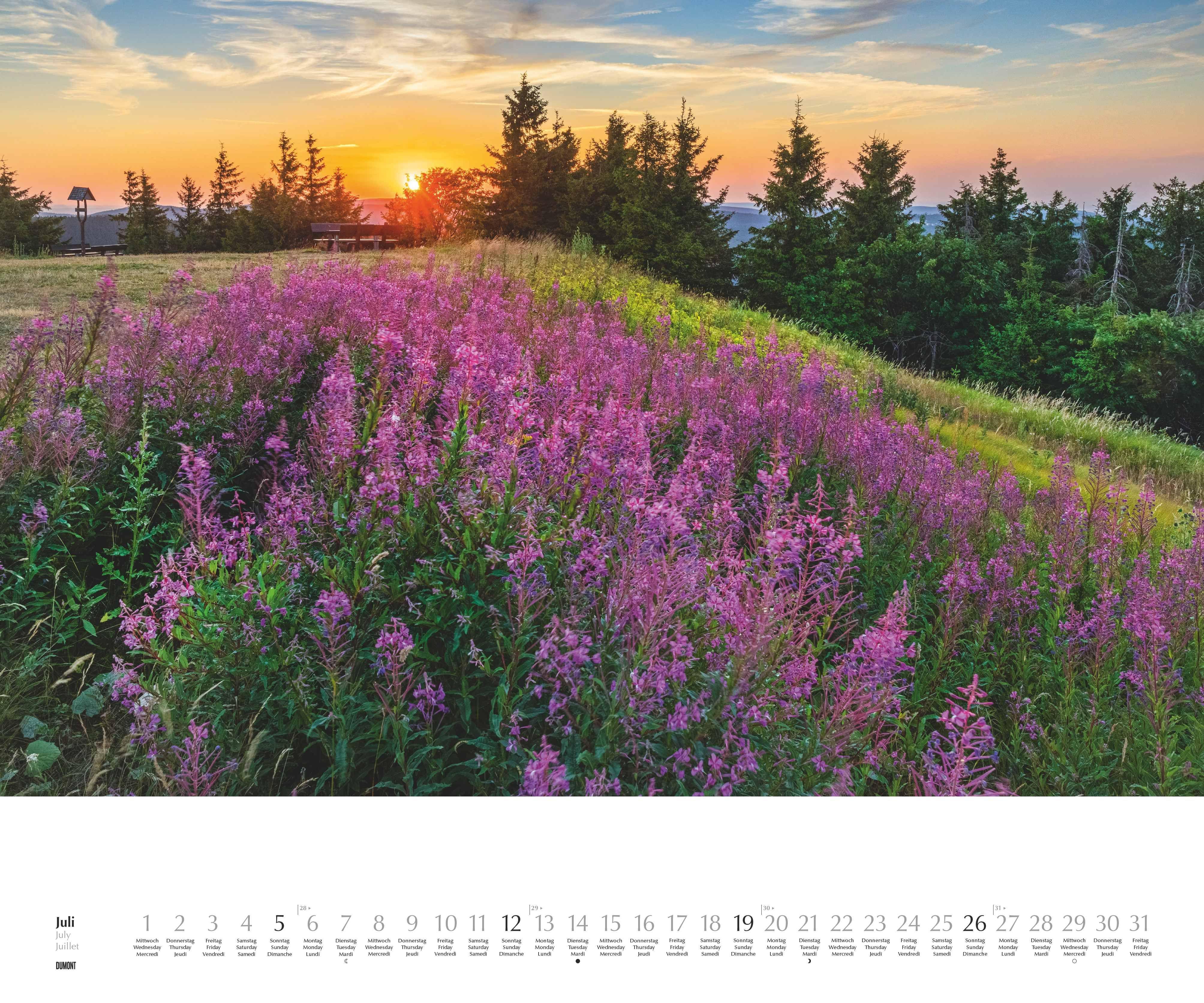 Beispielinhalt (Bild) Licht in der Landschaft 2026 - Wandkalender 60,0 x 50,0 cm - Spiralbindung