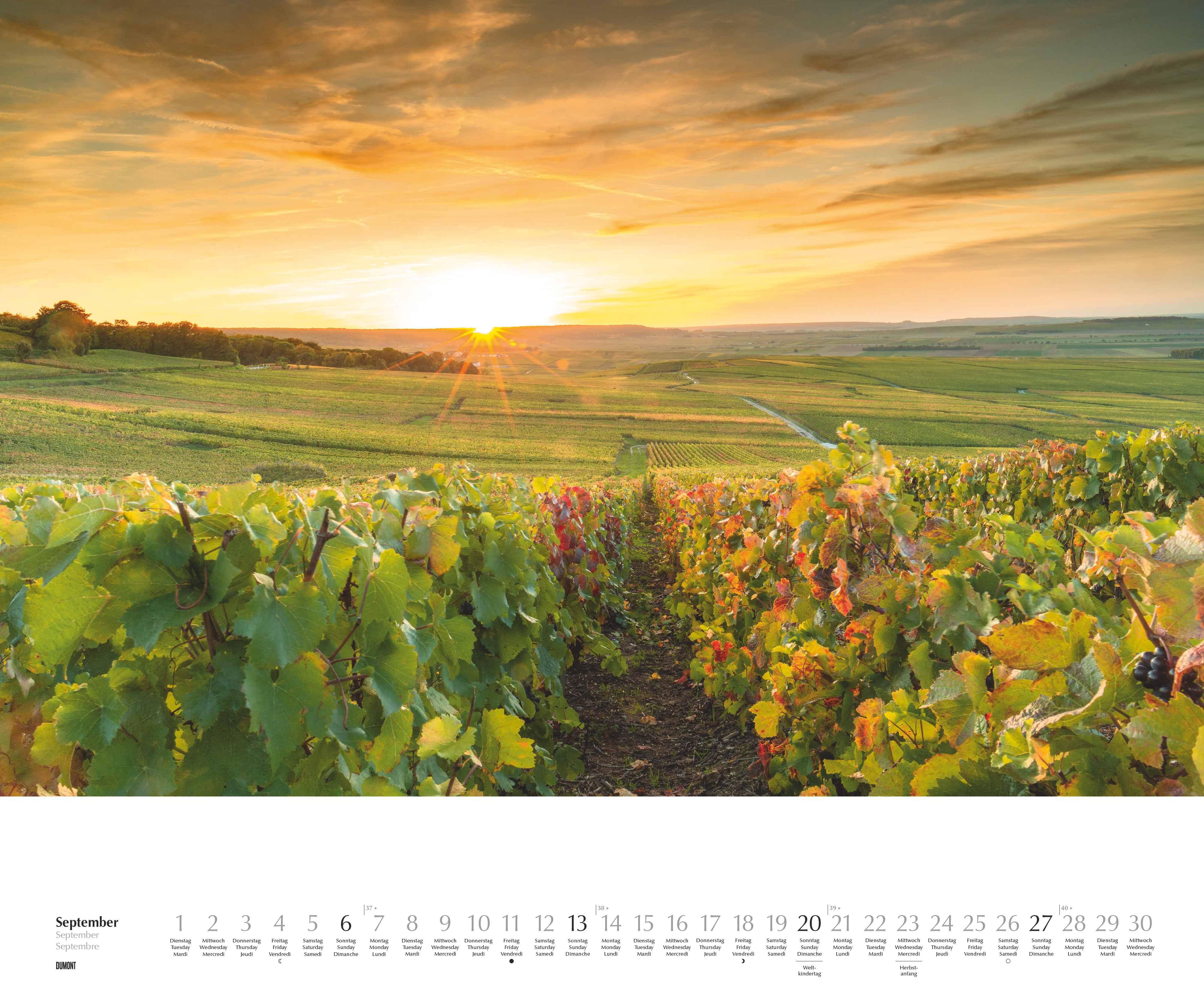 Beispielinhalt (Bild) Licht in der Landschaft 2026 - Wandkalender 60,0 x 50,0 cm - Spiralbindung
