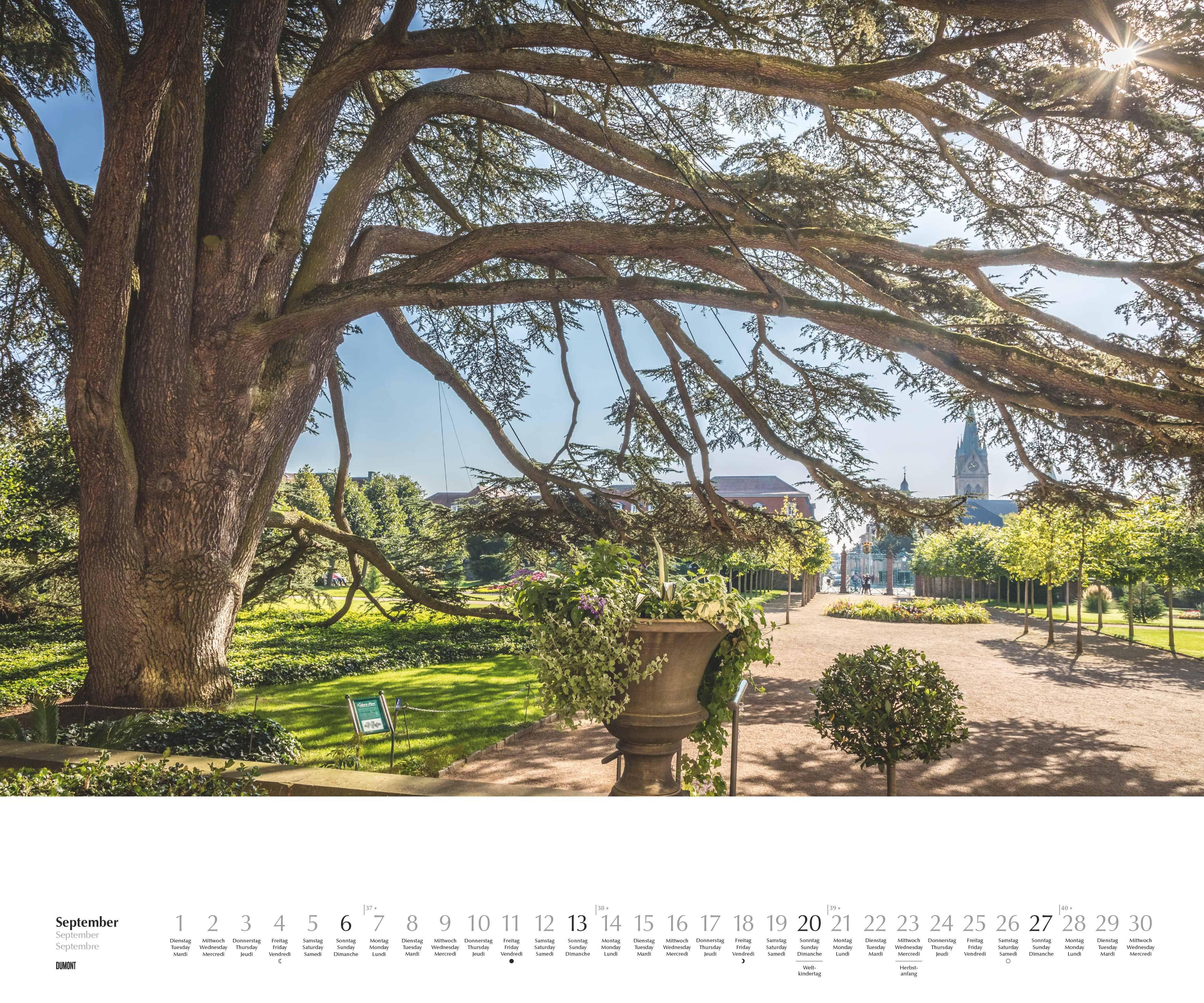 Beispielinhalt (Bild) Heimische Bäume 2026 - Wandkalender 60x50 cm - Spiralbindung