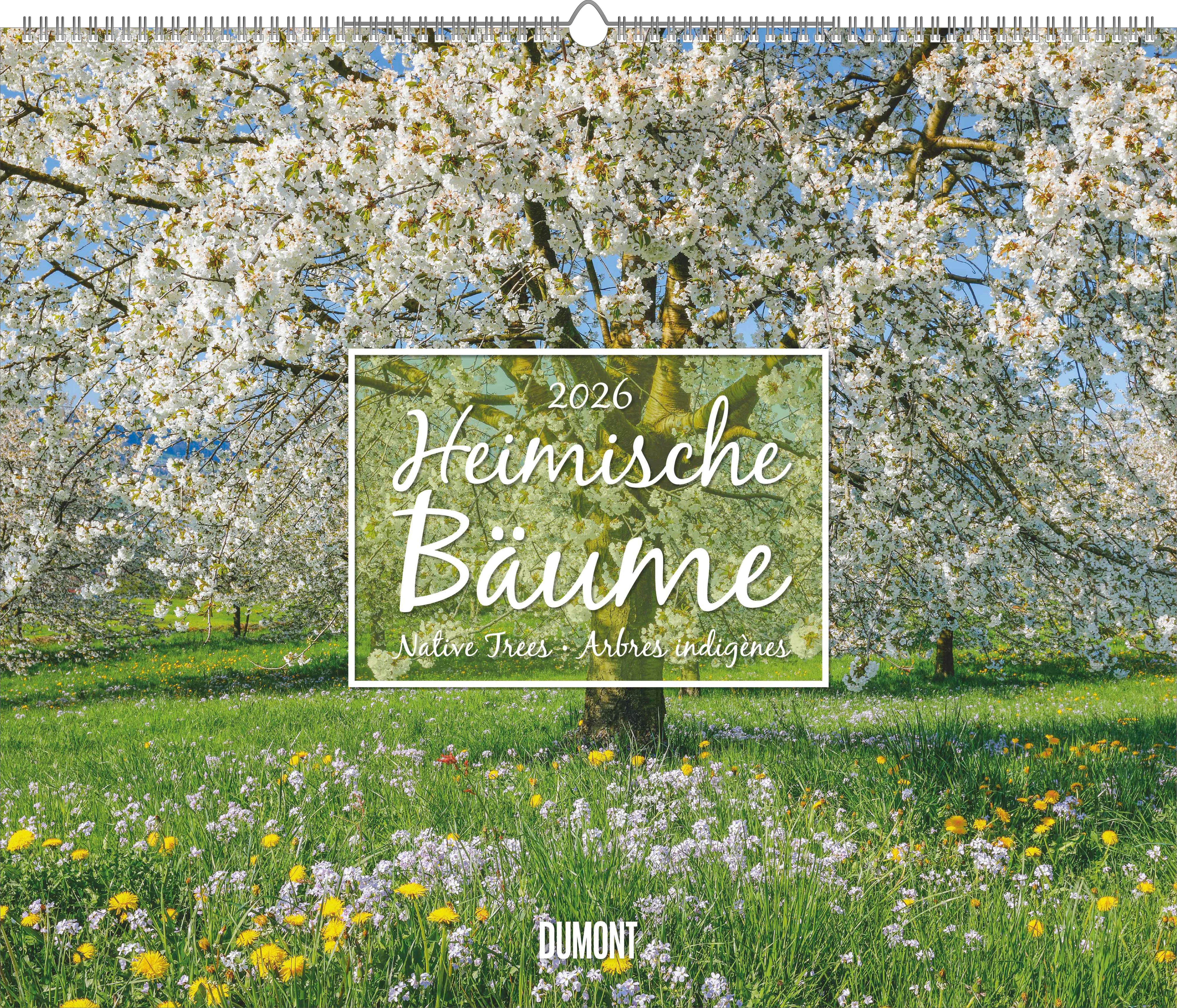 Vorderes Coverbild Heimische Bäume 2026 - Wandkalender 60x50 cm - Spiralbindung