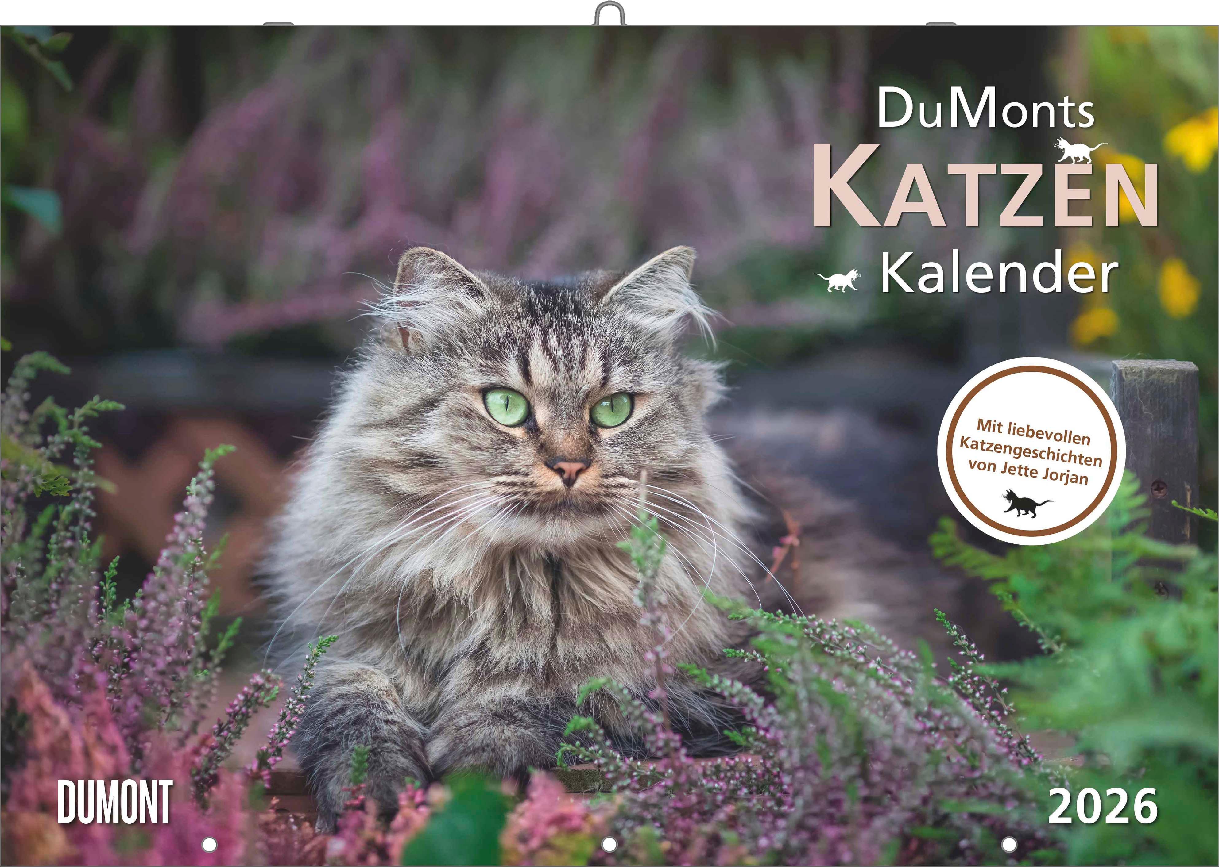 Vorderes Coverbild DUMONTS Katzenkalender 2026 - Broschürenkalender - Wandkalender - mit Schulferienterminen - Format 42 x 29 cm