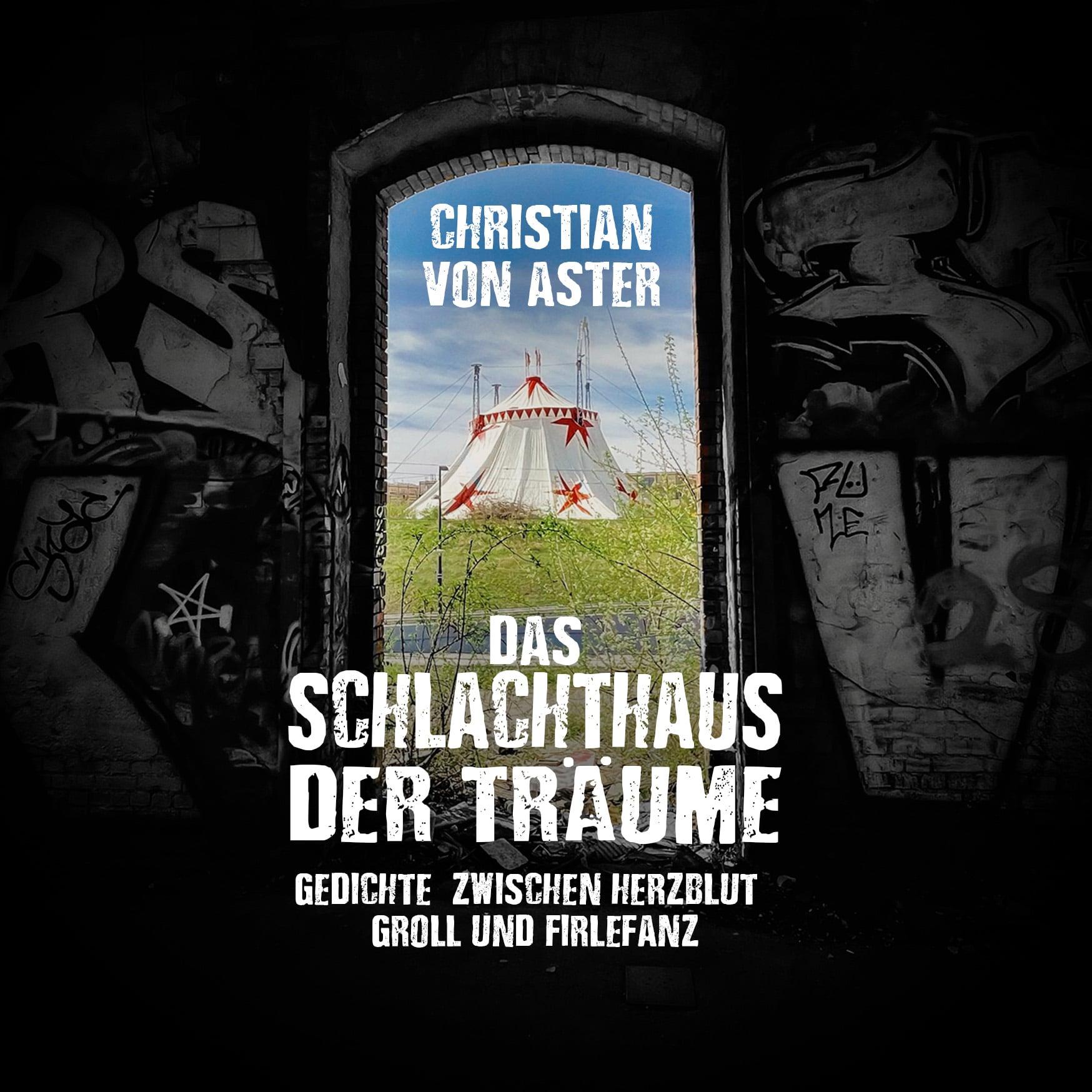 Vorderes Coverbild Das Schlachthaus der Träume