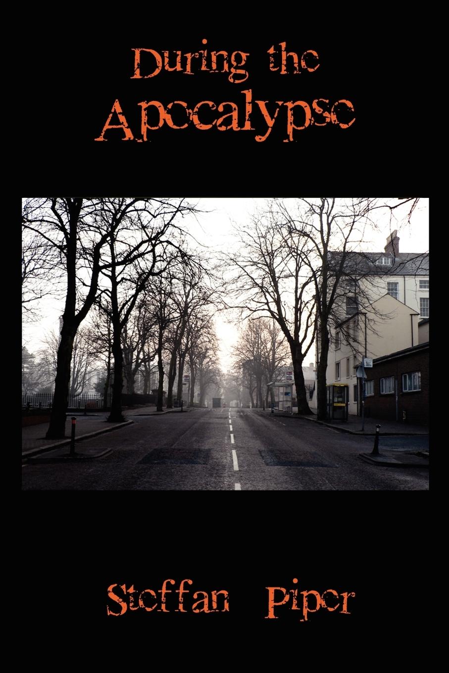 Vorderes Coverbild During the Apocalypse