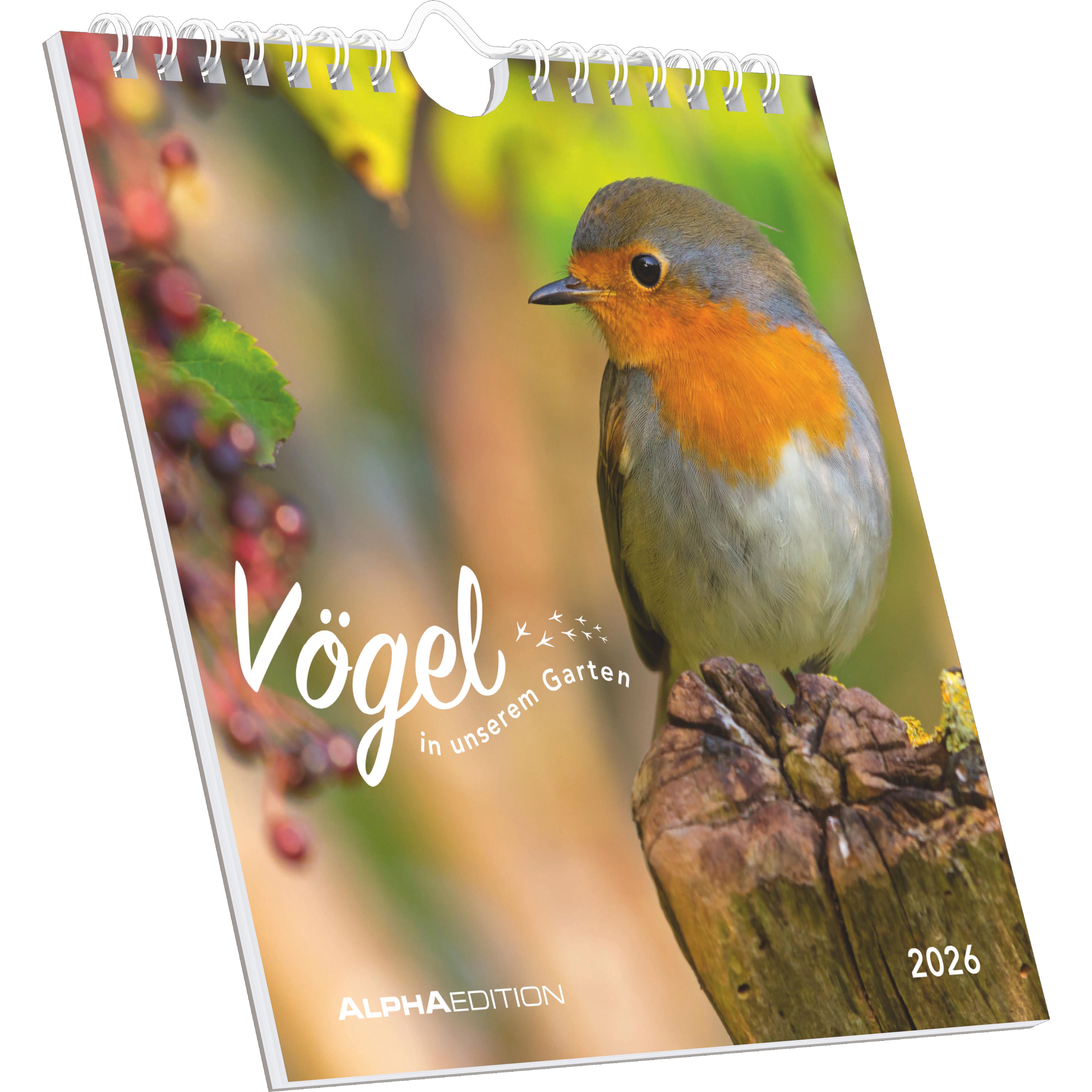 Vorderes Coverbild Vögel in unserem Garten 2026 - Postkartenkalender 16x17 cm