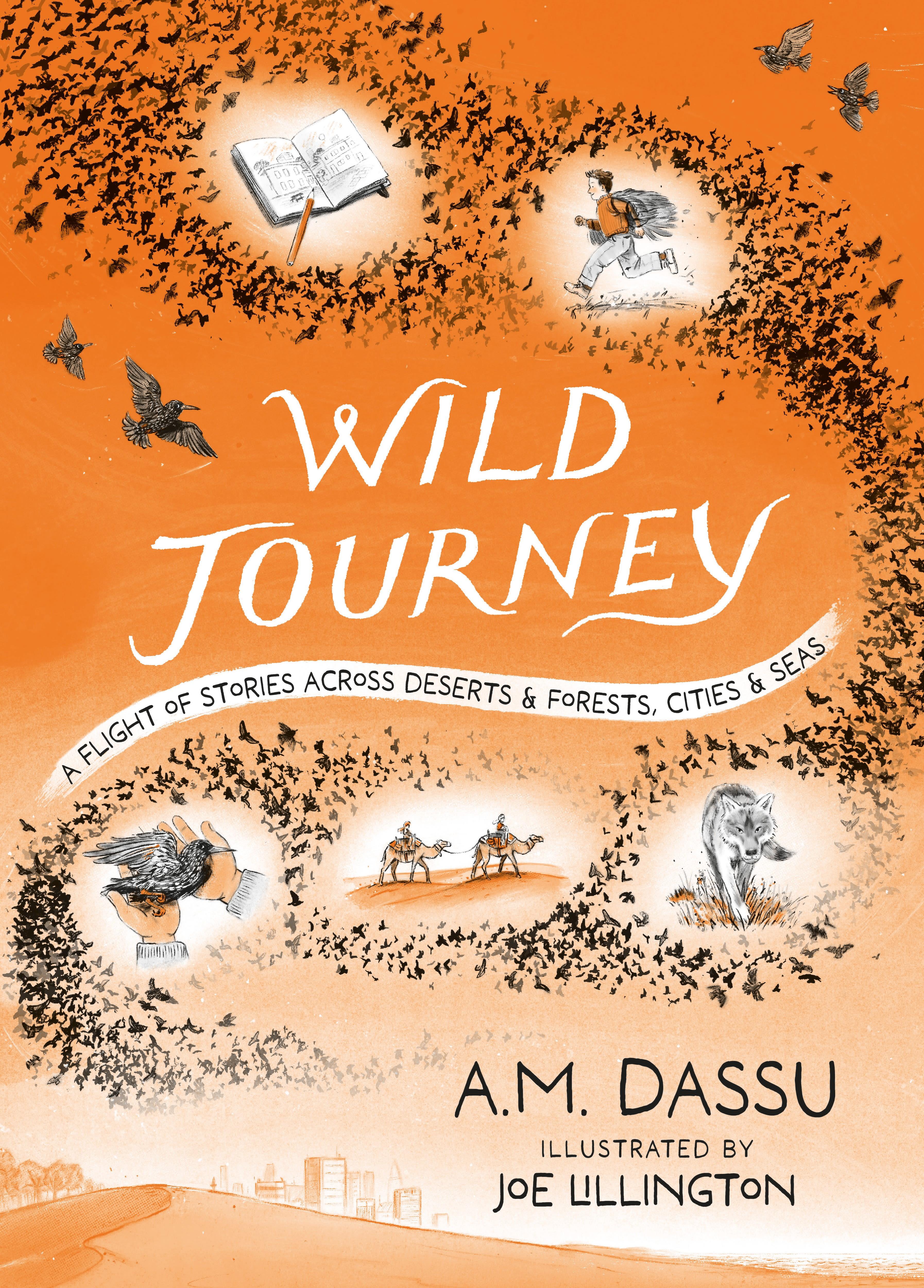 Vorderes Coverbild Wild Journey