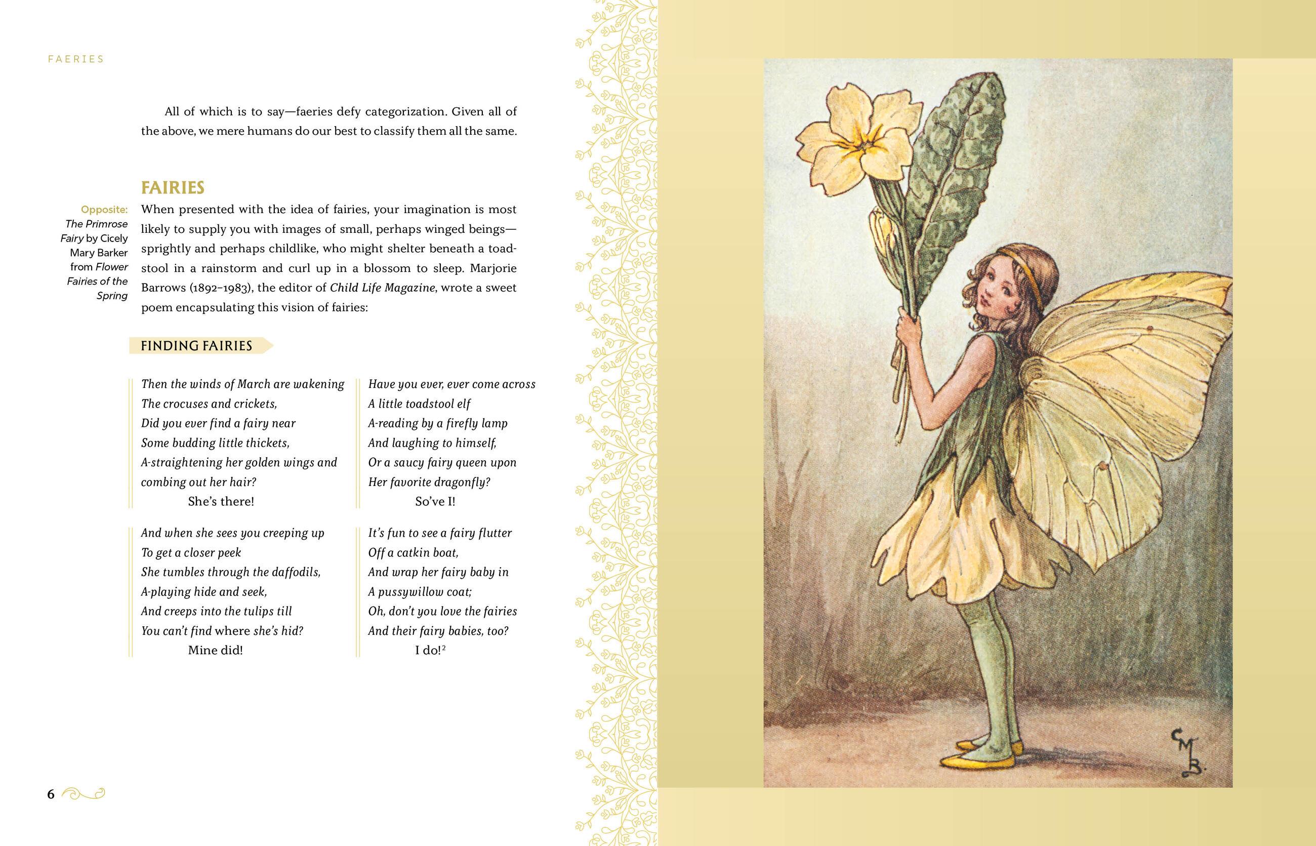 Beispielinhalt (Bild) Faeries