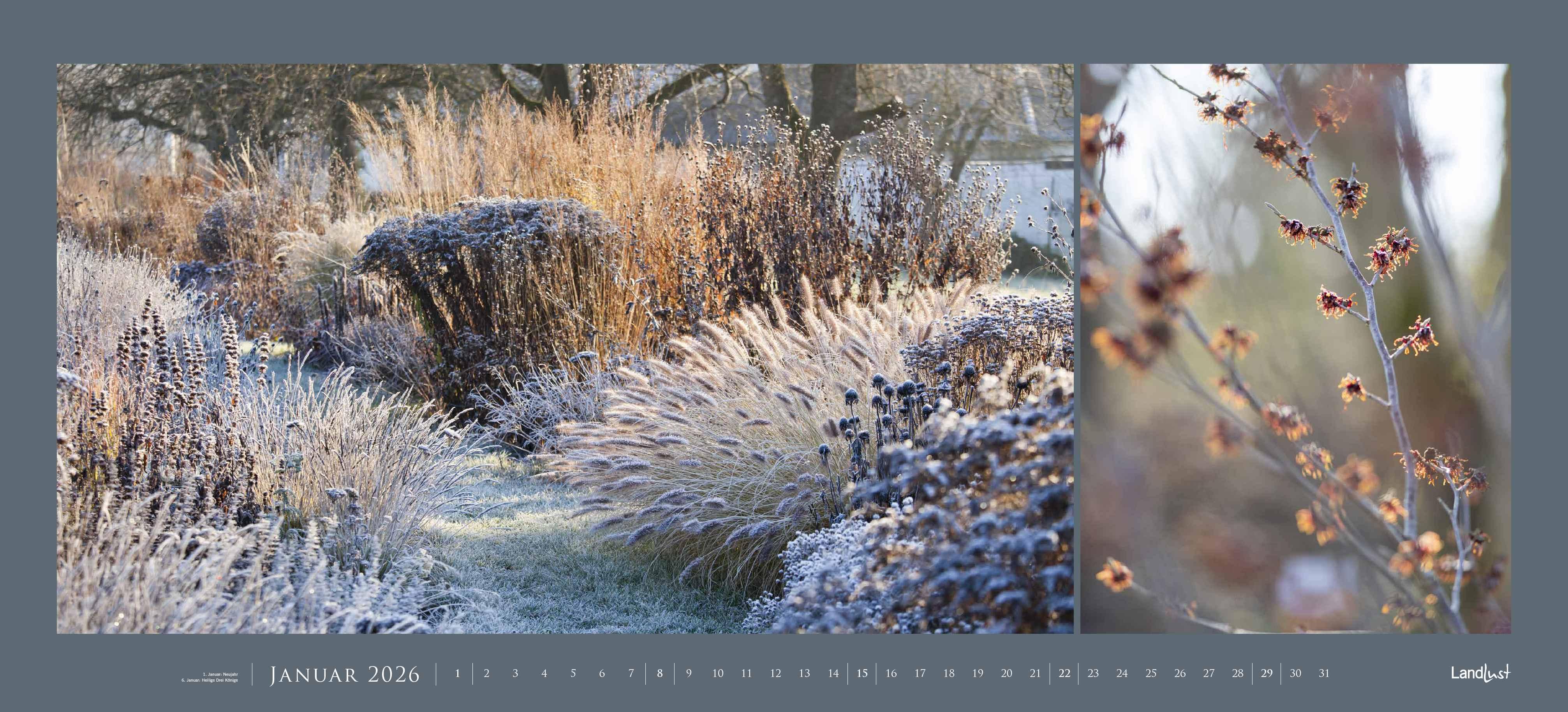 Beispielinhalt (Bild) Landlust Panorama: Garten-Kontraste 2026 Wand-Kalender - Panorama-Kalender - Fotografie - Gartenkalender 110x50