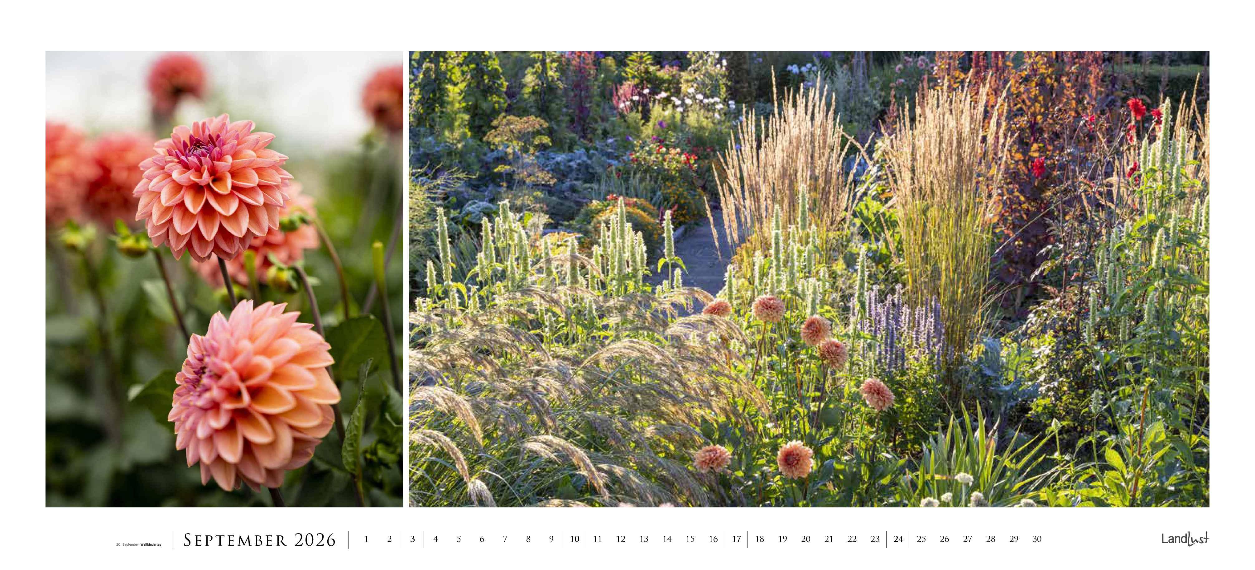 Beispielinhalt (Bild) Landlust Panorama: Garten-Kontraste 2026 Wand-Kalender - Panorama-Kalender - Fotografie - Gartenkalender 110x50