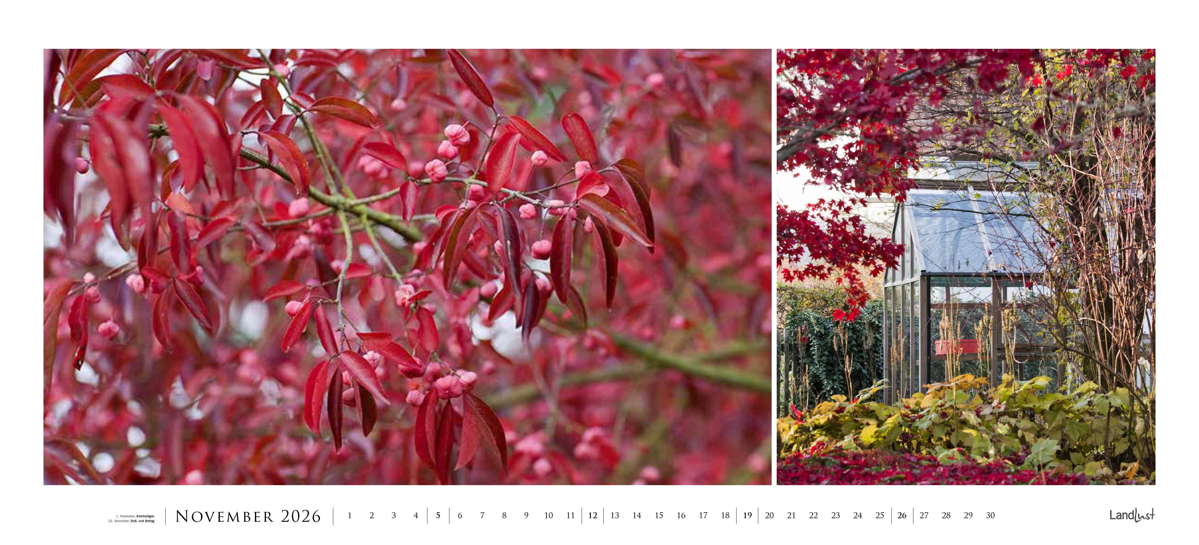 Beispielinhalt (Bild) Landlust Panorama: Garten-Kontraste 2026 Wand-Kalender - Panorama-Kalender - Fotografie - Gartenkalender 110x50