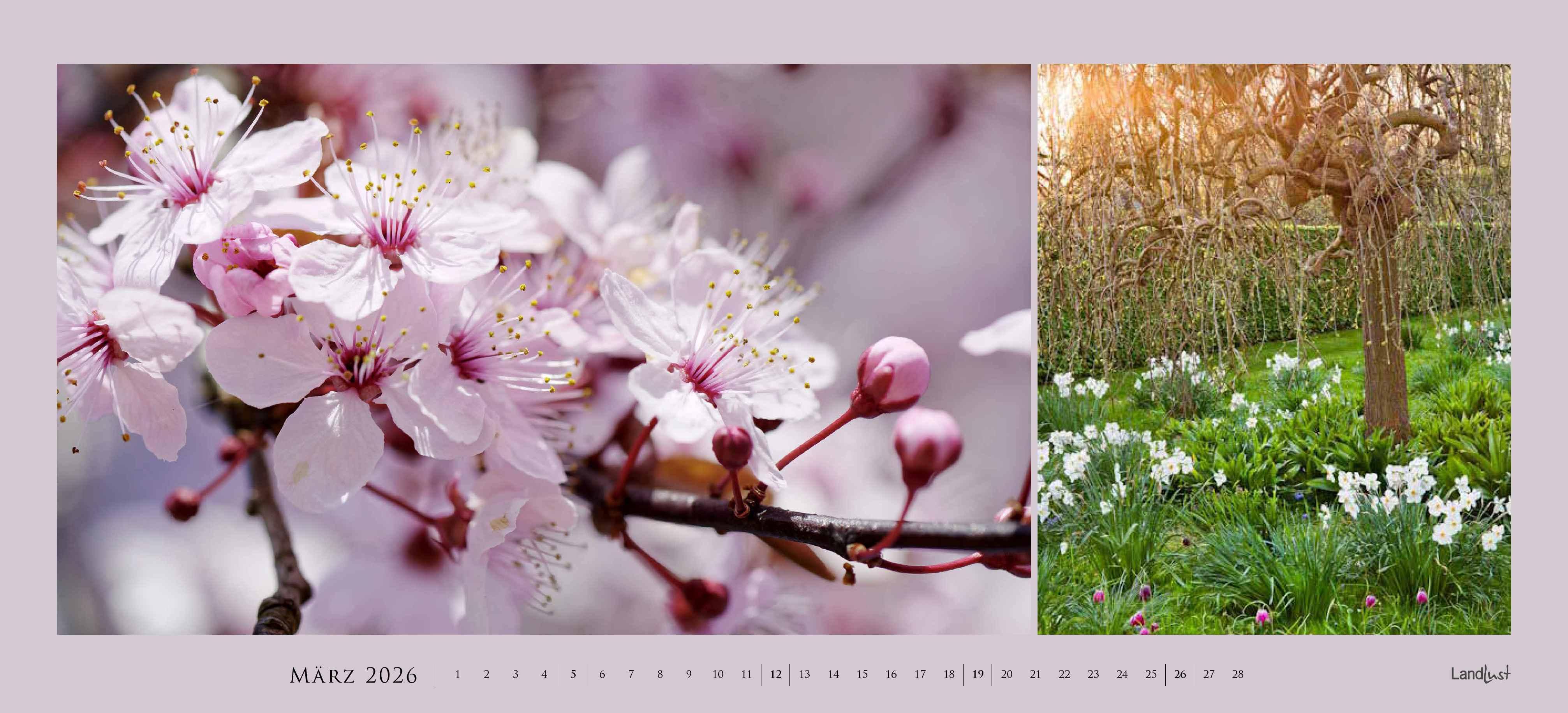 Beispielinhalt (Bild) Landlust Panorama: Garten-Kontraste 2026 Wand-Kalender - Panorama-Kalender - Fotografie - Gartenkalender 110x50
