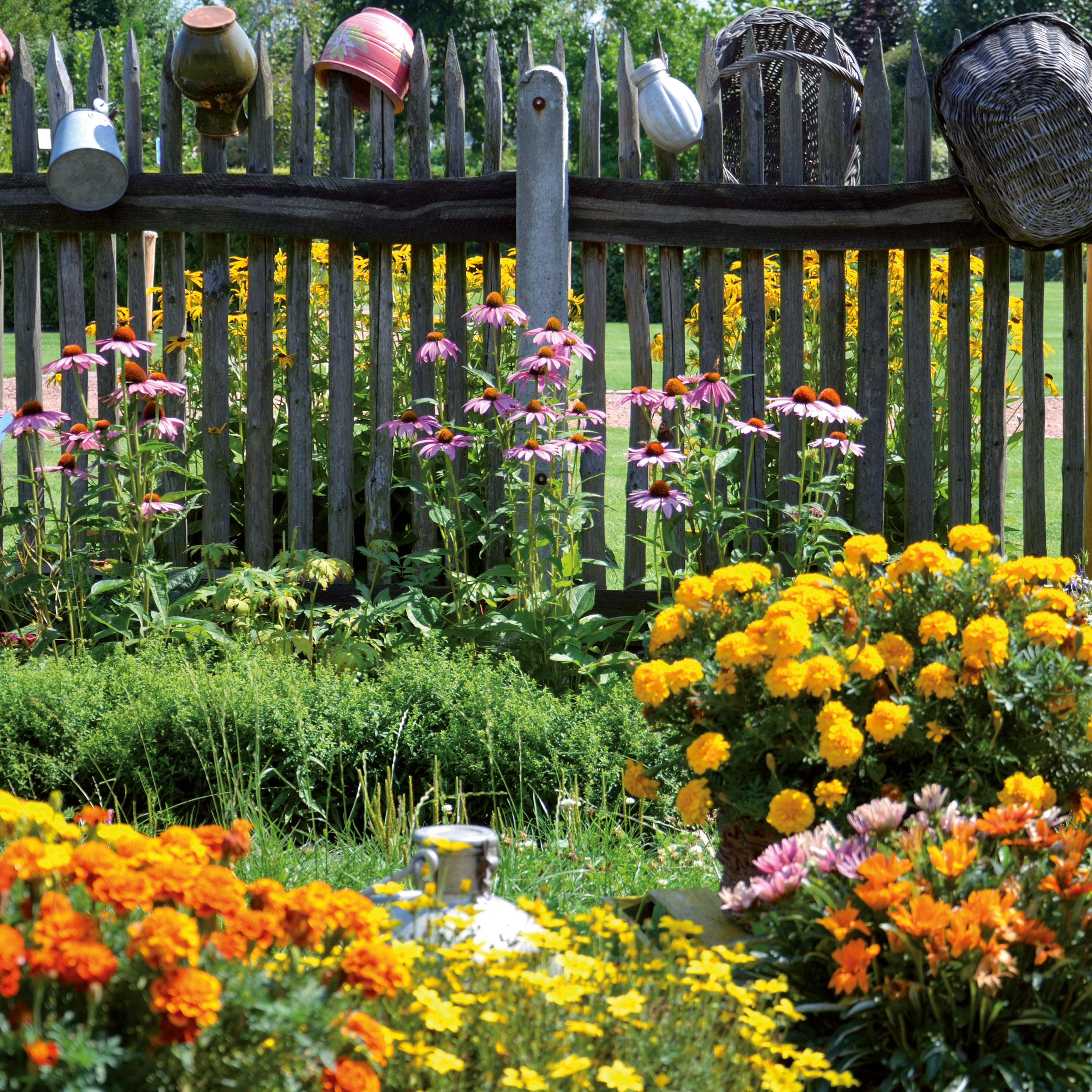 Beispielinhalt (Bild) Bauerngarten/Cottage Garden 2026