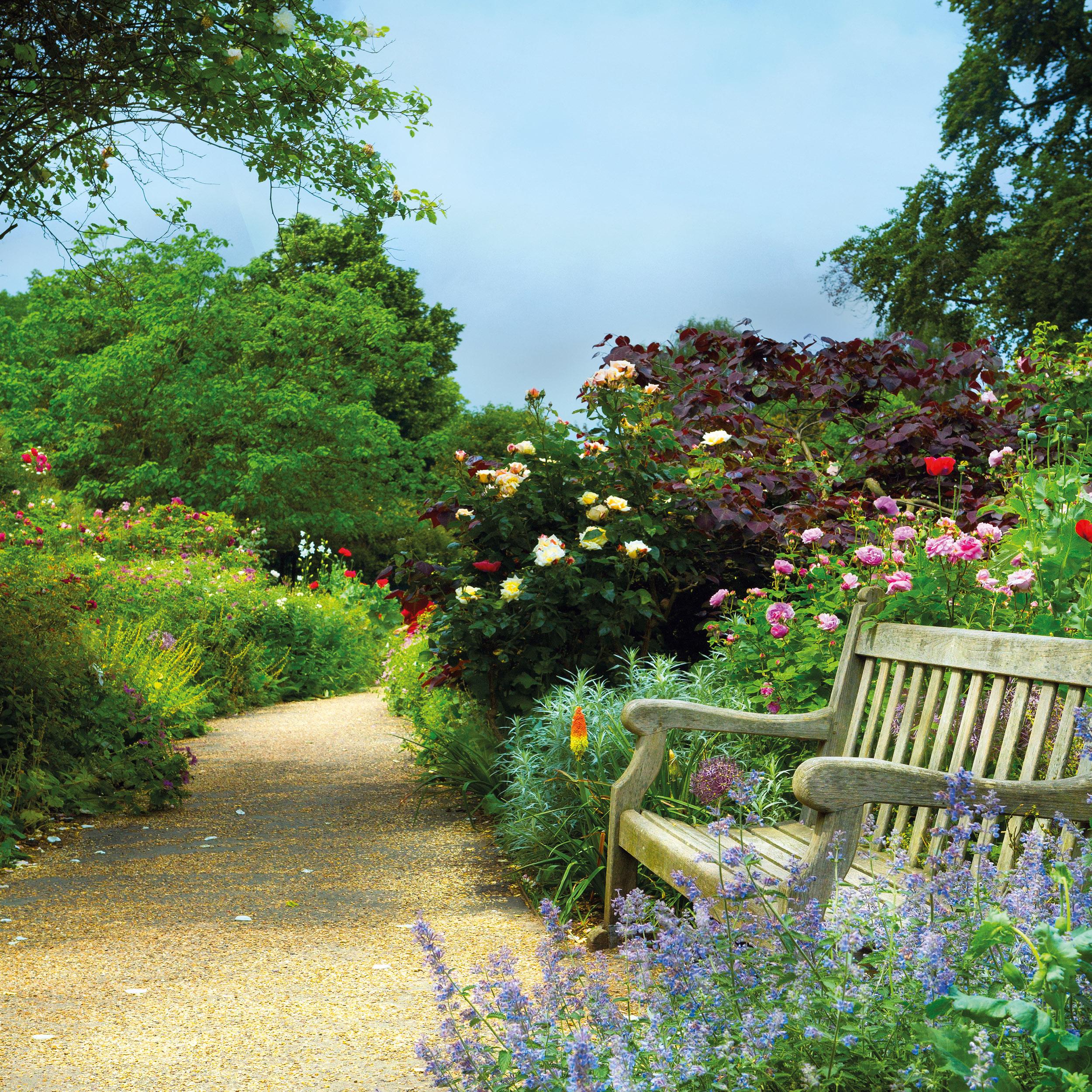 Beispielinhalt (Bild) Bauerngarten/Cottage Garden 2026