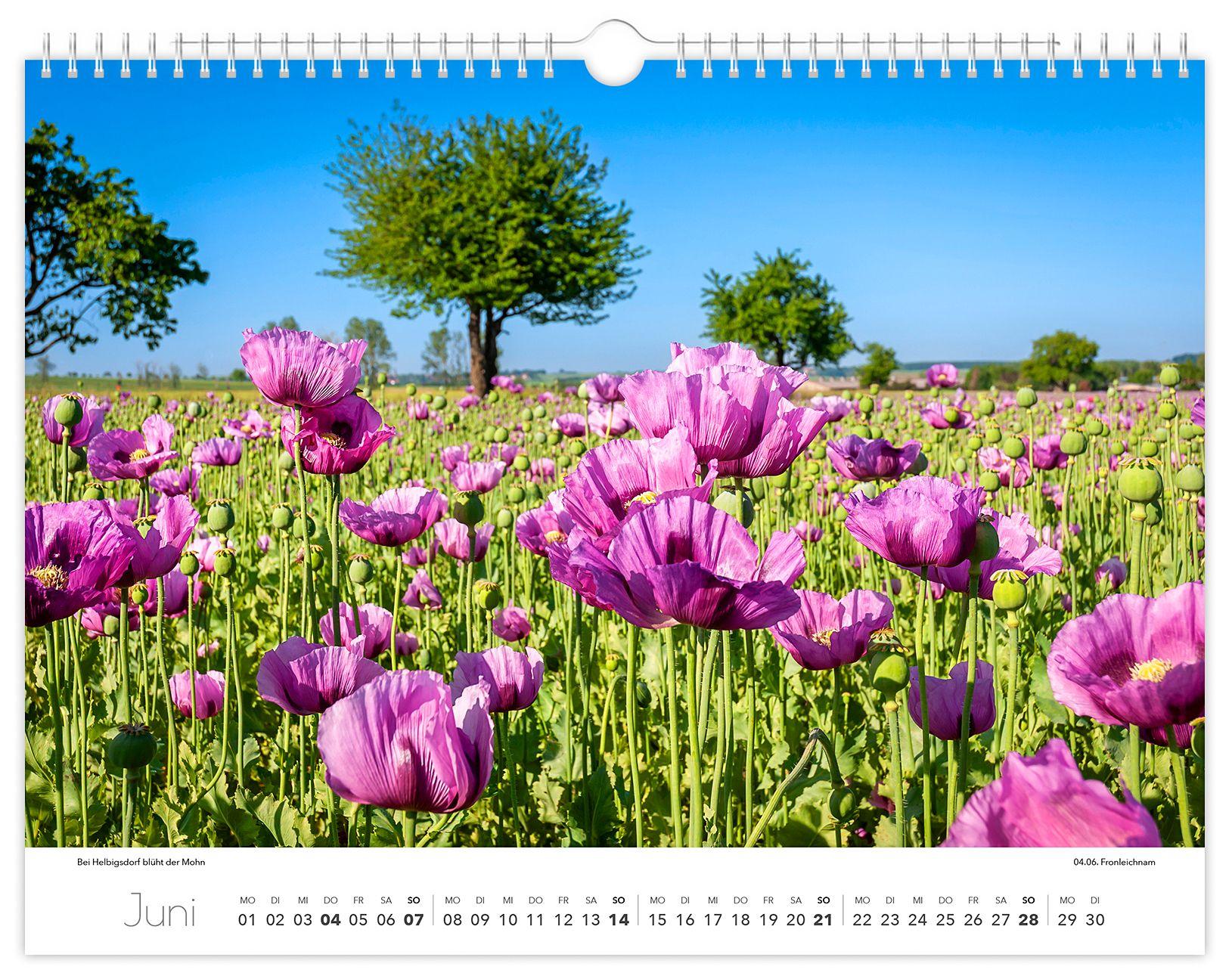 Beispielinhalt (Bild) Kalender Tharandt und Umgebung 2026