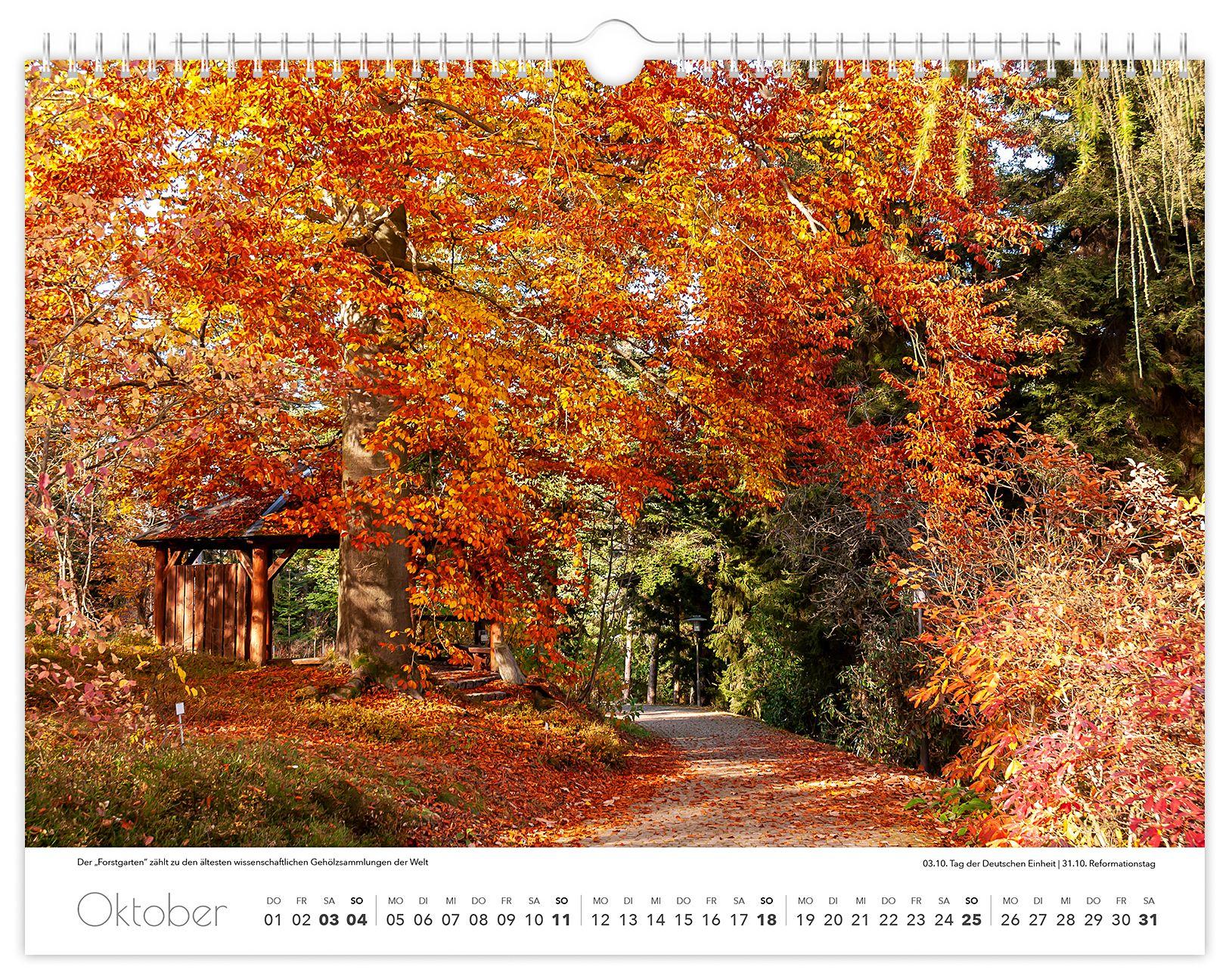 Beispielinhalt (Bild) Kalender Tharandt und Umgebung 2026