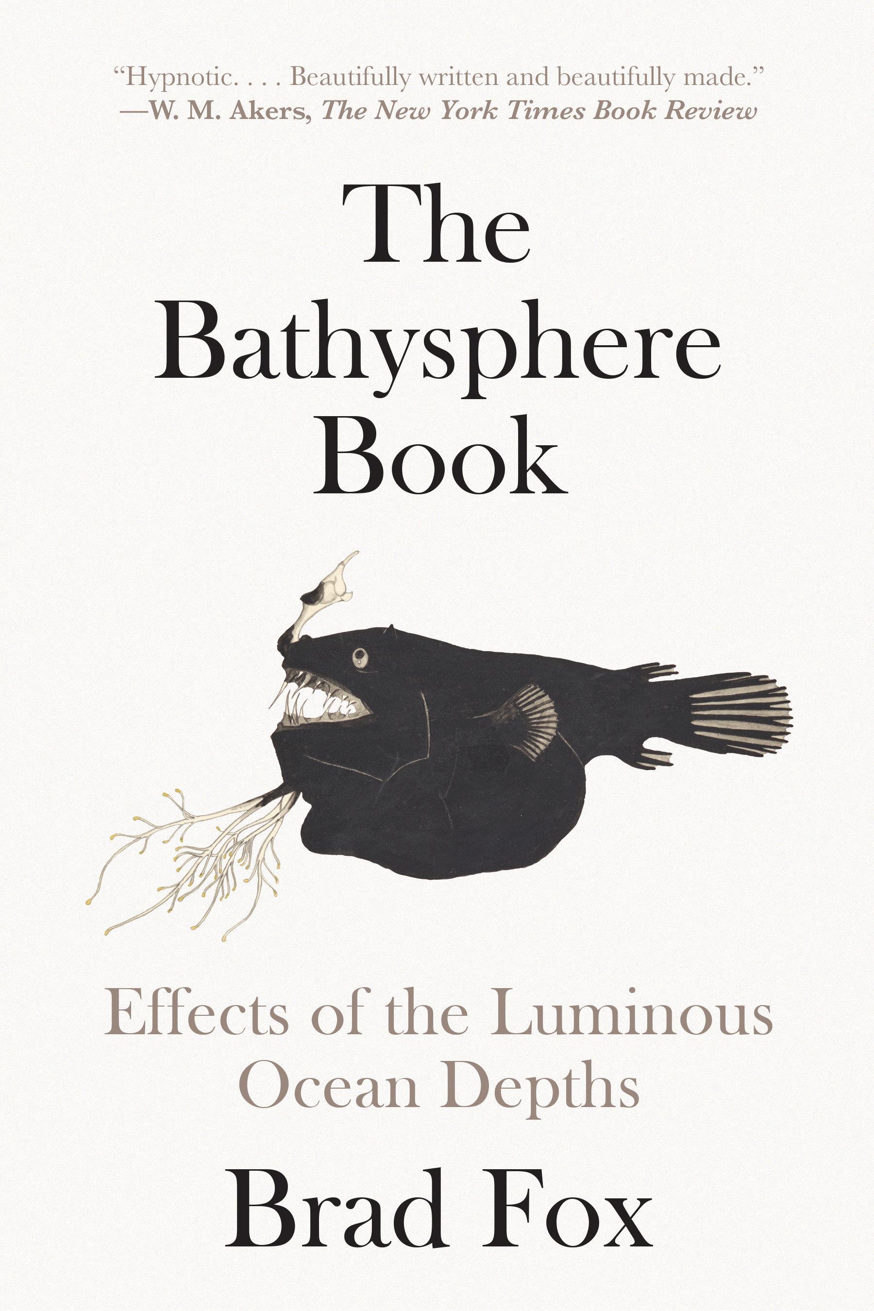 Vorderes Coverbild The Bathysphere Book