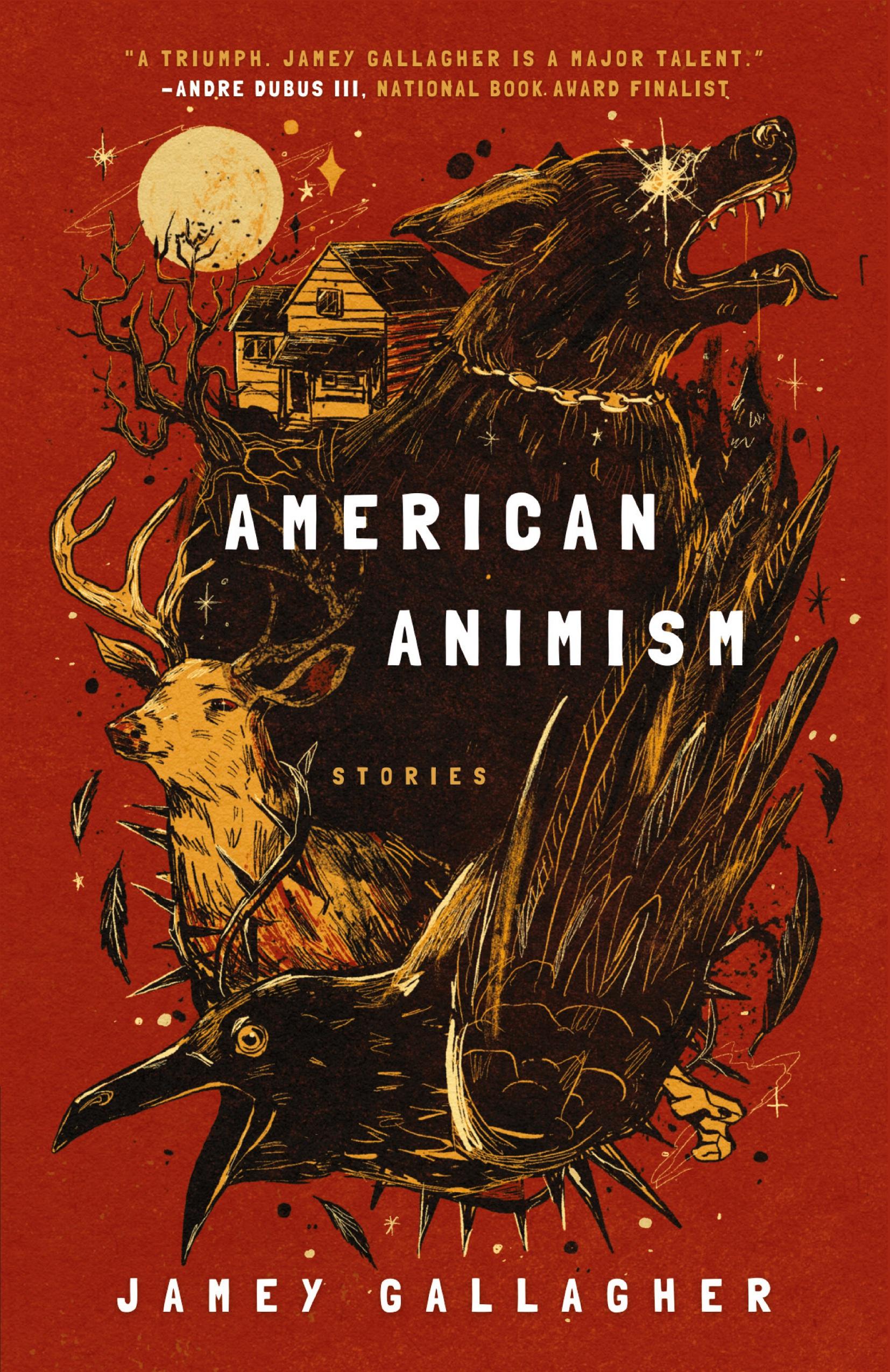 Vorderes Coverbild American Animism