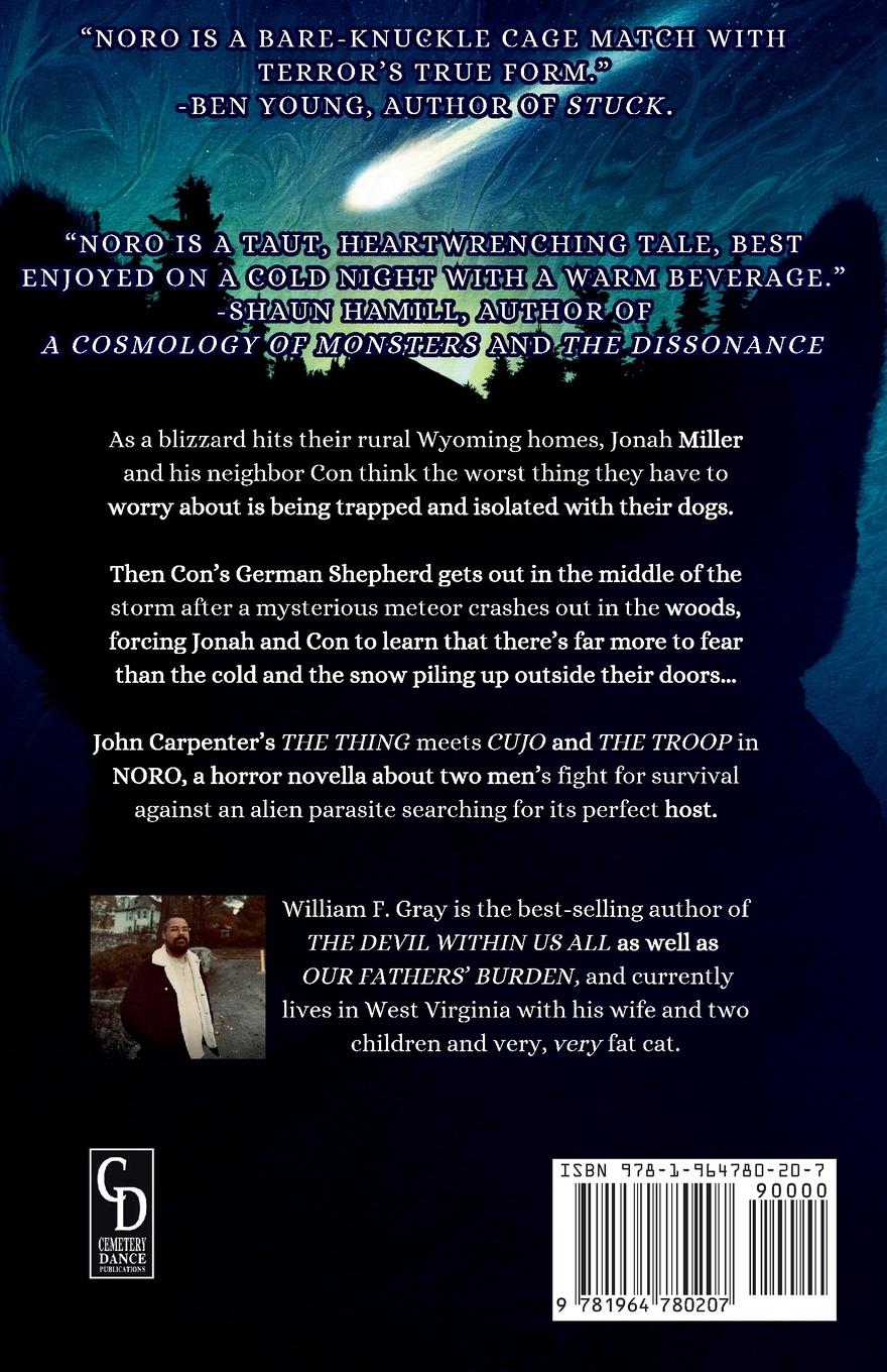 Rückseitencover Noro