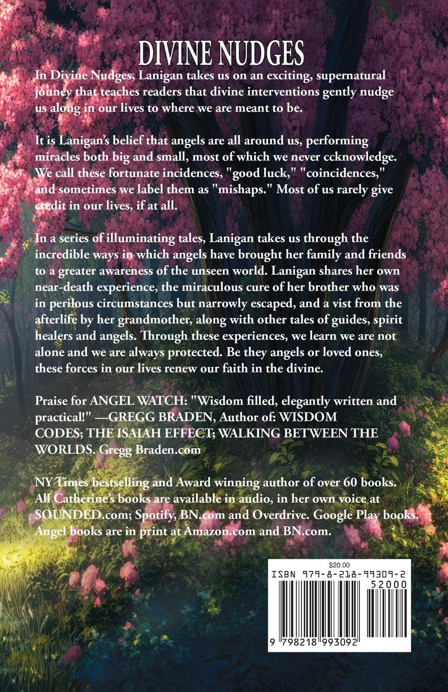 Rückseitencover Divine Nudges