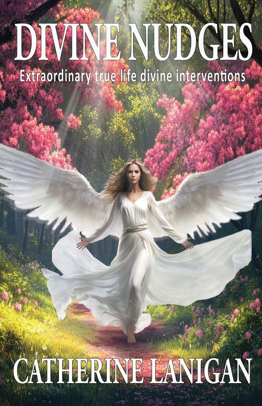 Vorderes Coverbild Divine Nudges