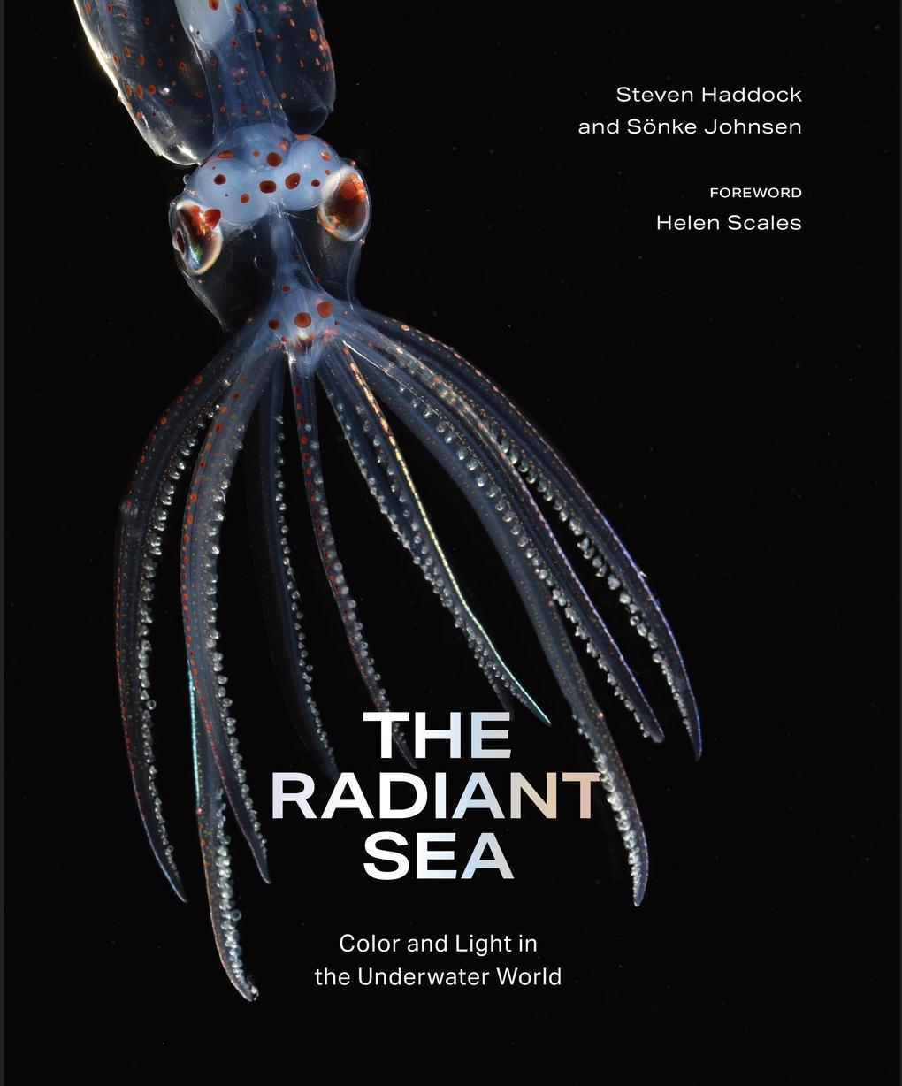 Vorderes Coverbild The Radiant Sea